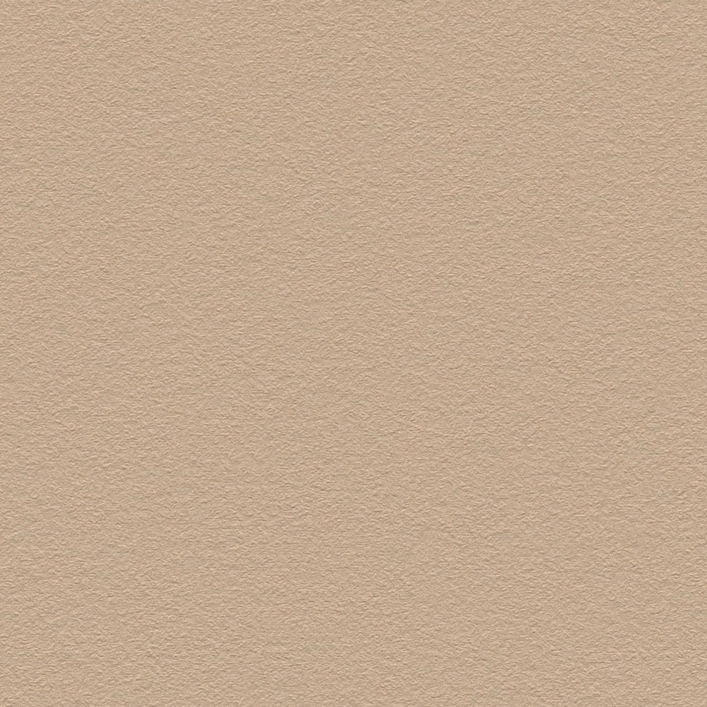             Plain wallpaper light brown with smooth surface - beige, brown
        