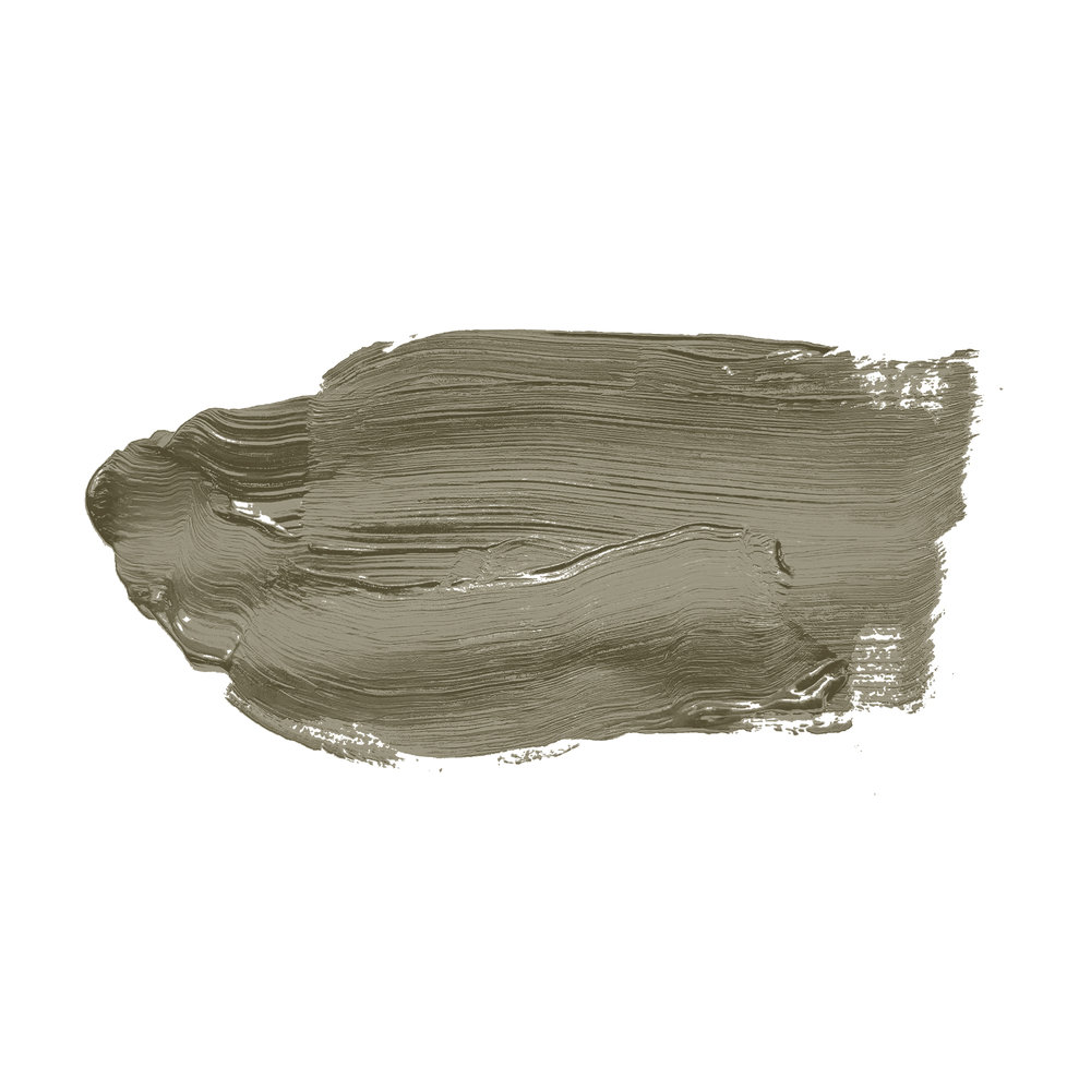             Pittura murale TCK4013 »Ordinary Olive« in tonalità oliva intensiva – 2,5 litri
        