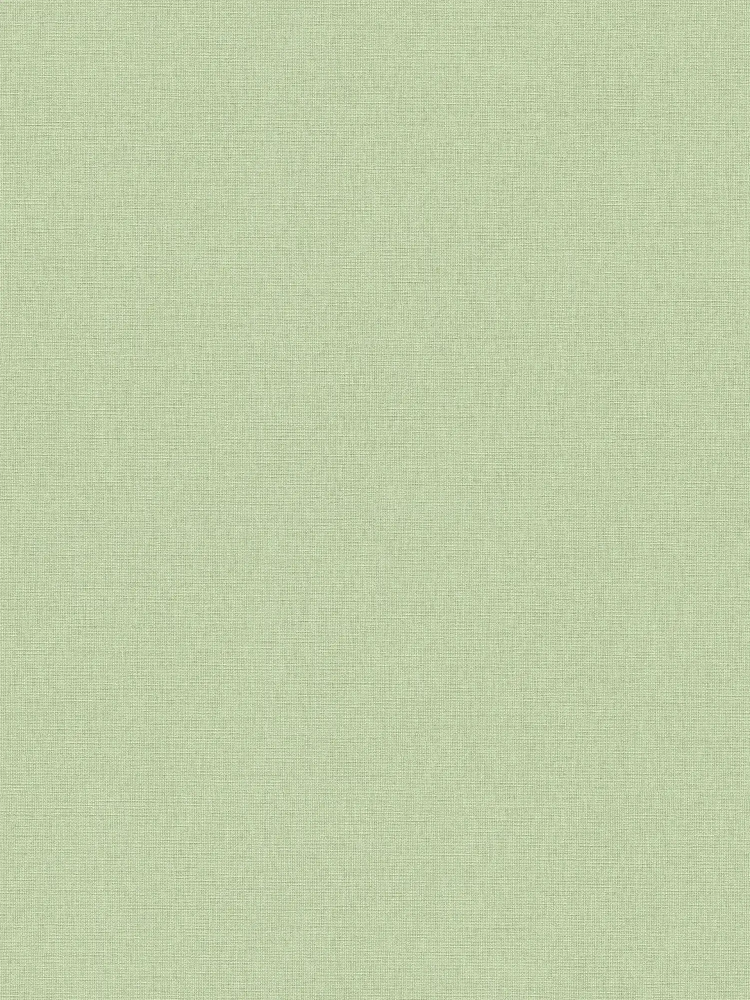 papier peint en papier intissé avec motif de palmiers couvrant toute la surface - vert
