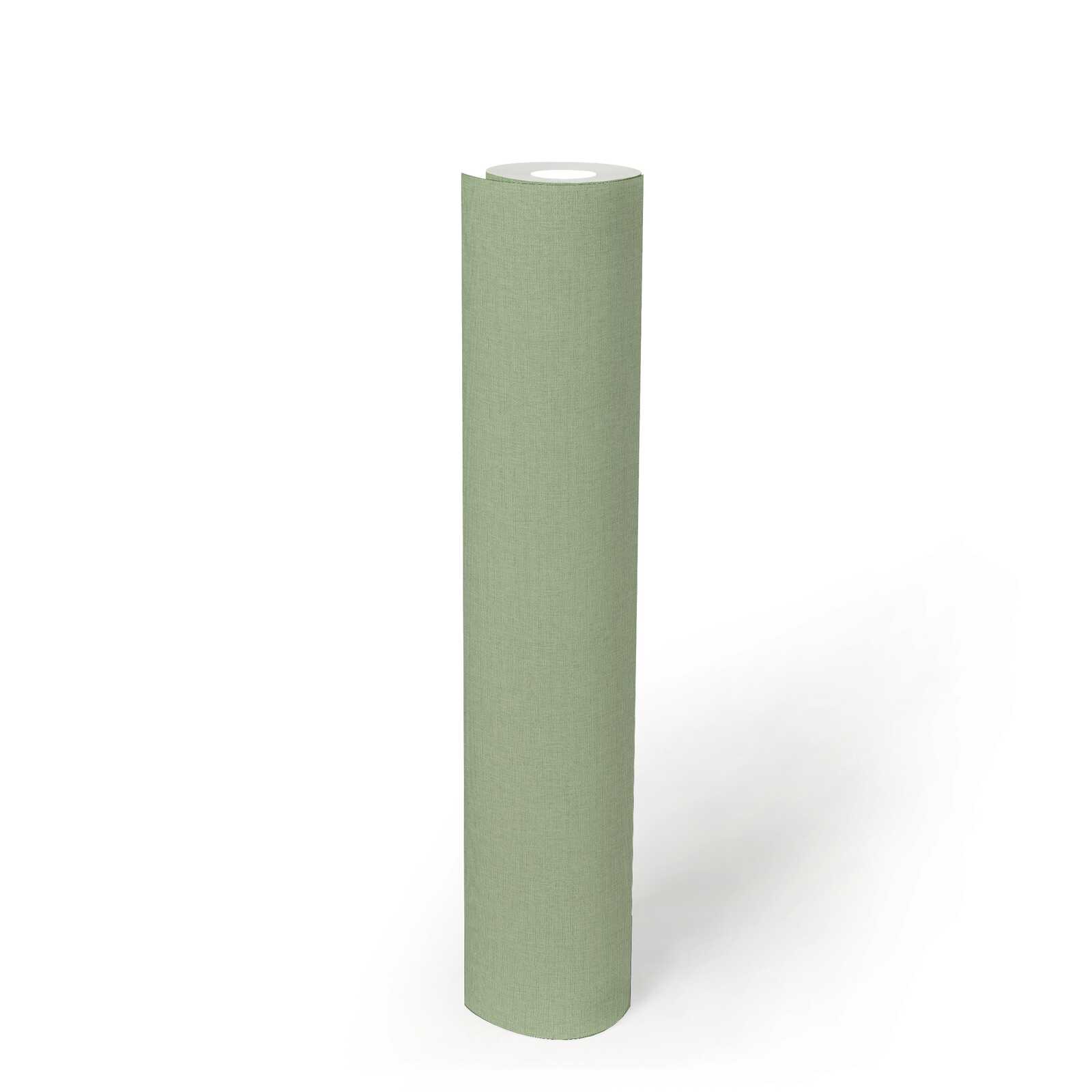             papier peint en papier intissé avec motif de palmiers couvrant toute la surface - vert
        