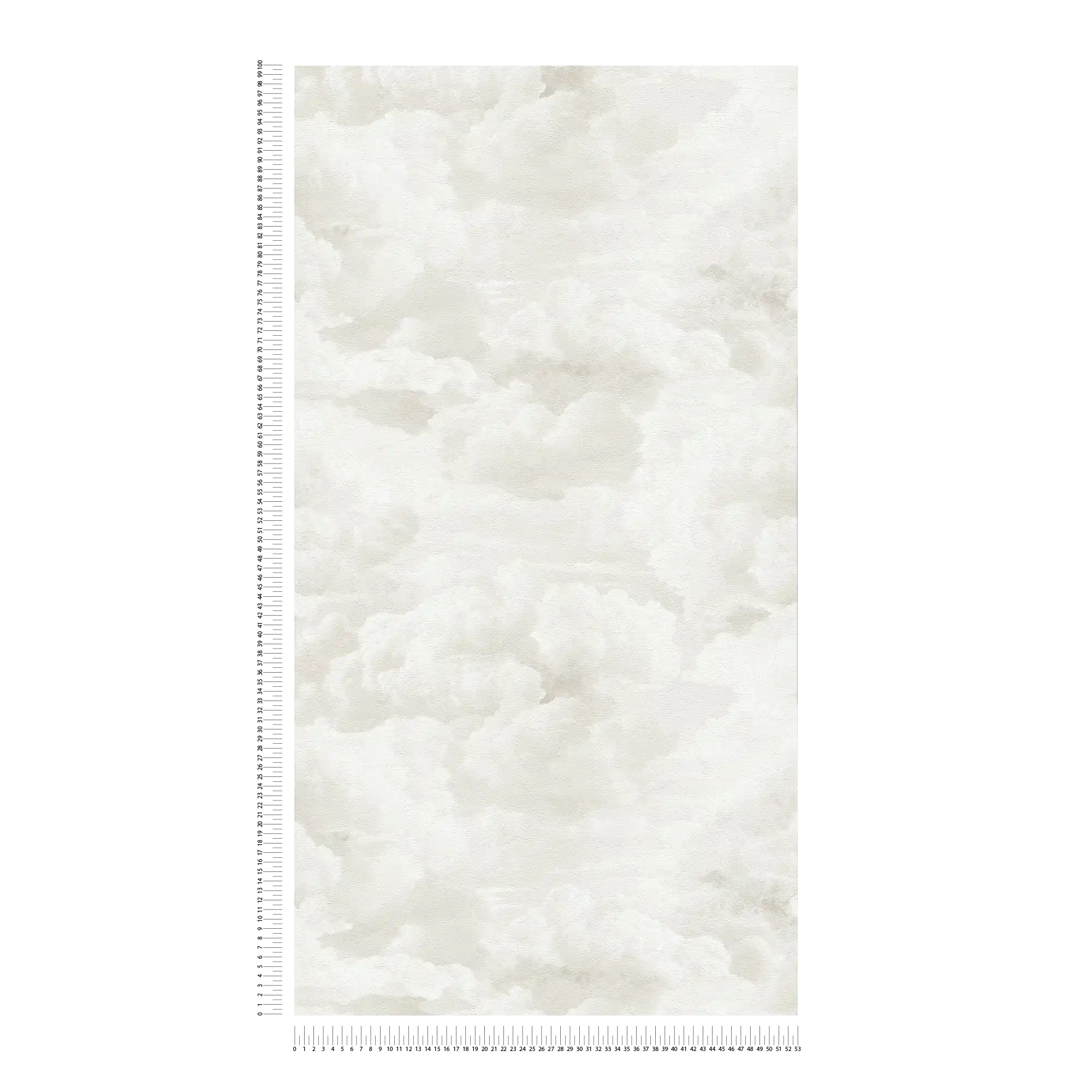             Abstract cloud pattern in oil painting look as non-woven wallpaper - cream, white
        