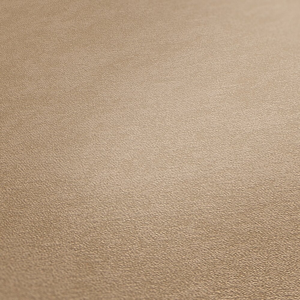             Plain non-woven wallpaper with fine texture - beige
        