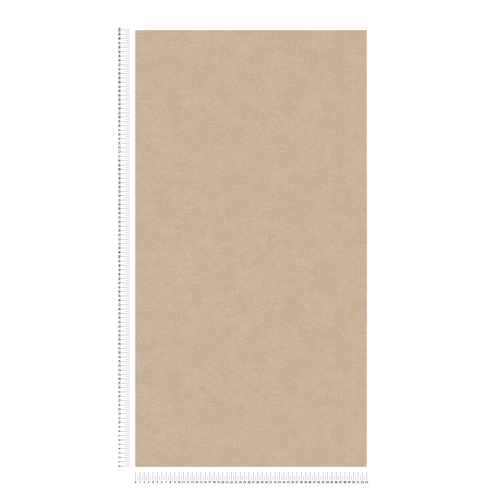             Plain non-woven wallpaper with fine texture - beige
        