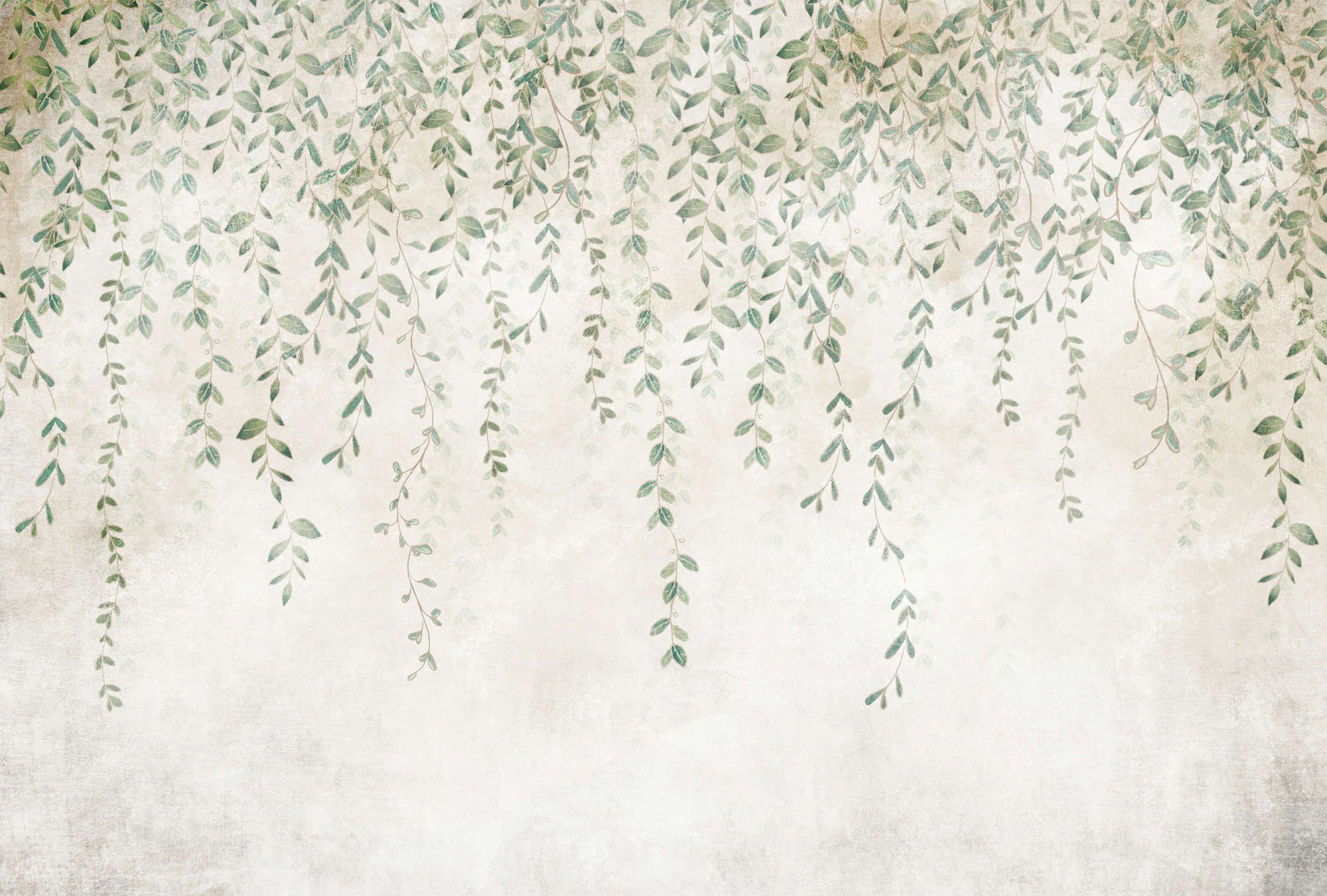             papier peint en papier panoramique »kerala« - guirlande de feuilles devant une structure d'enduit de béton - intissé mat et lisse
        