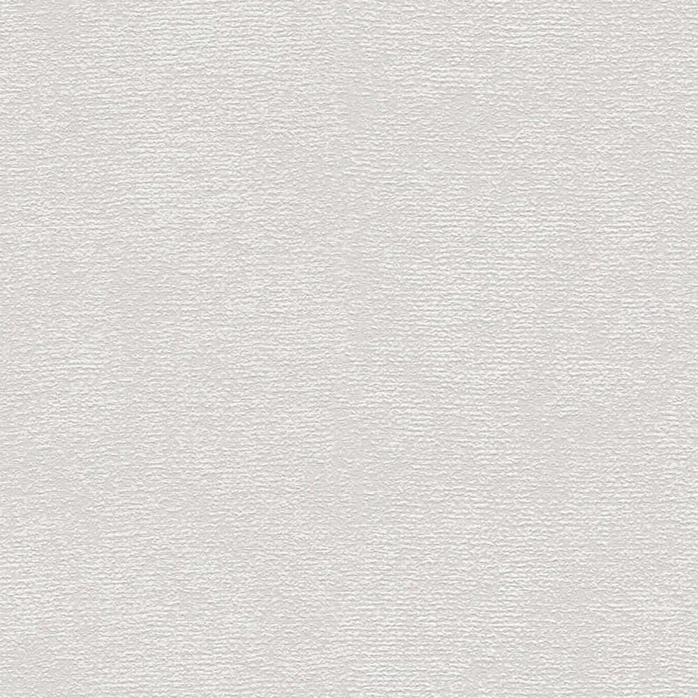             Single-coloured non-woven wallpaper with a light texture - grey
        