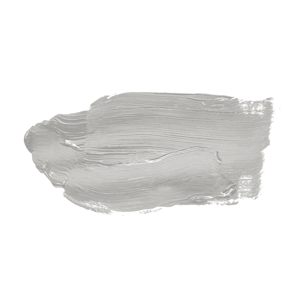             Peinture murale TCK1009 »Sprat Fish« en gris argenté sobre – 2,5 litres
        