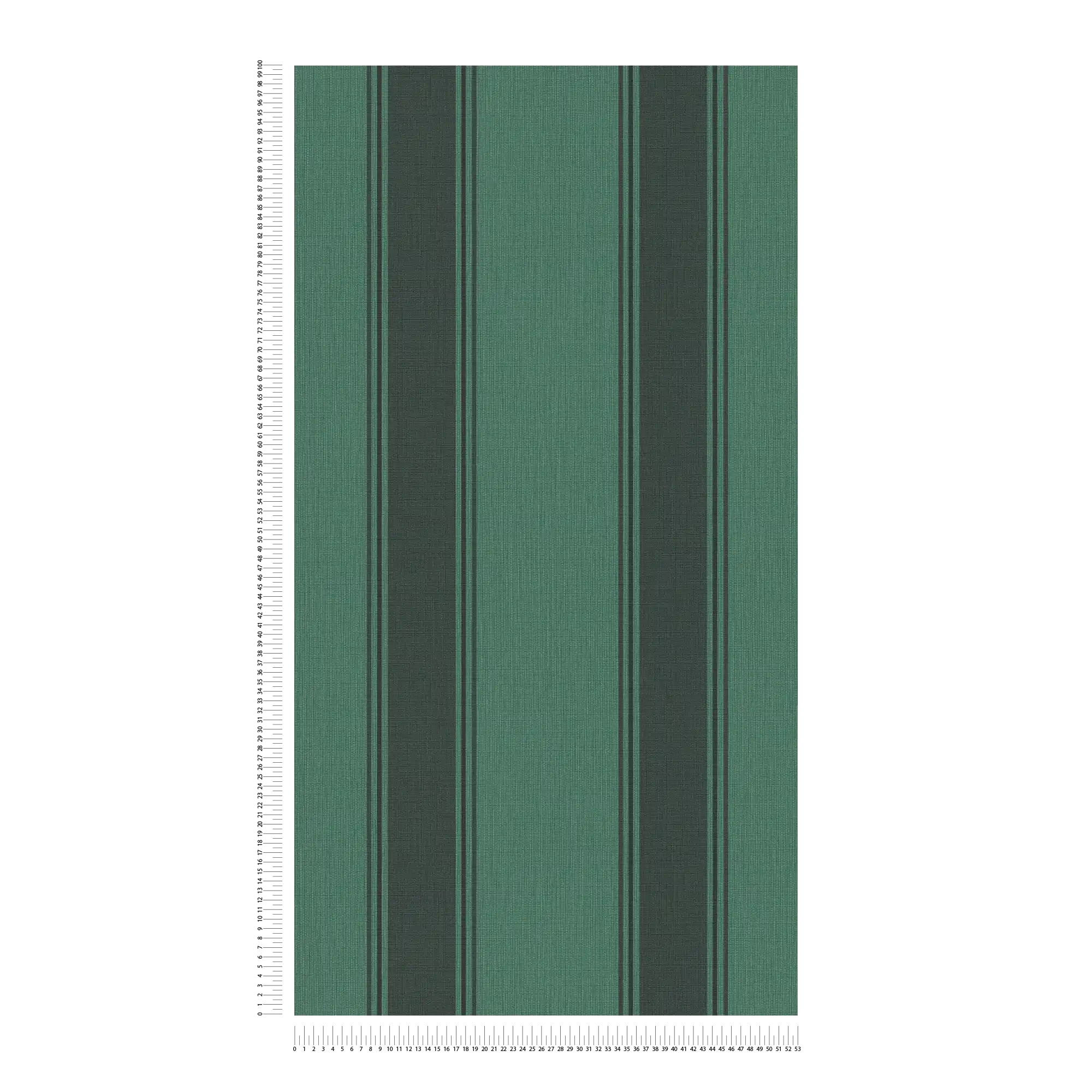             Striped non-woven wallpaper with contrast - green, black, grey
        