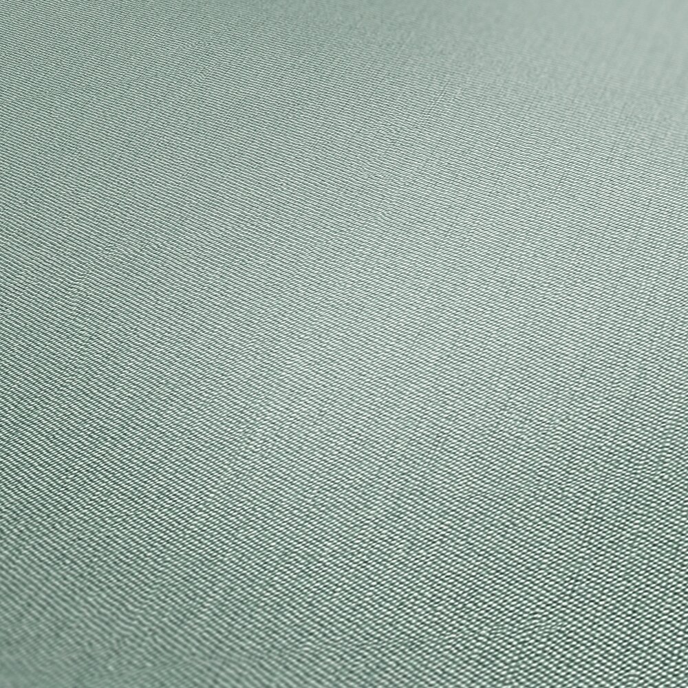             Plain non-woven wallpaper with a light texture - green
        