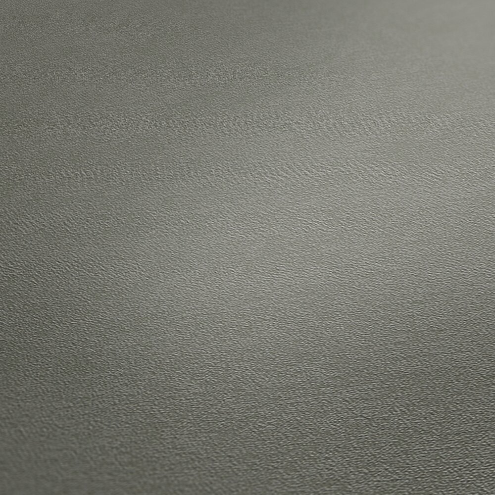             Non-woven wallpaper single-coloured surface fine textured - grey
        
