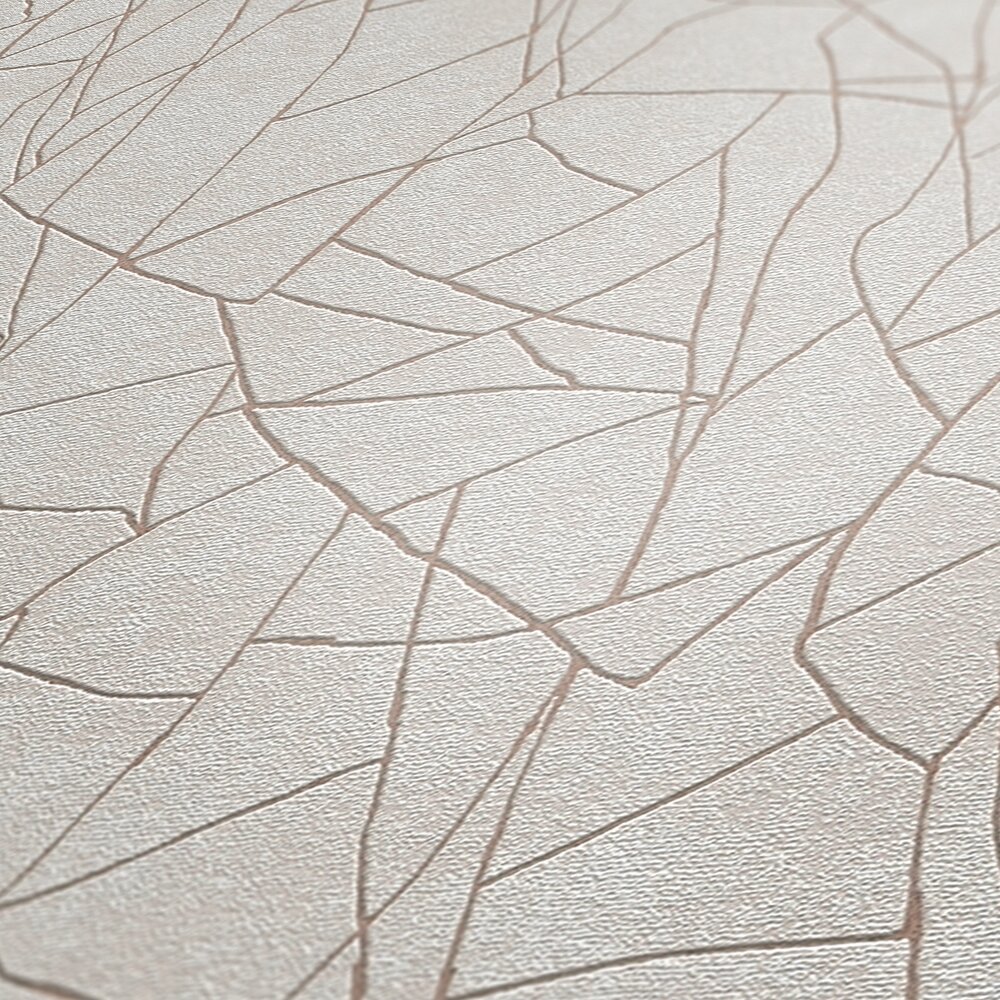             Vliesbehang met grafisch 3D natuurmotief - grijs, wit
        