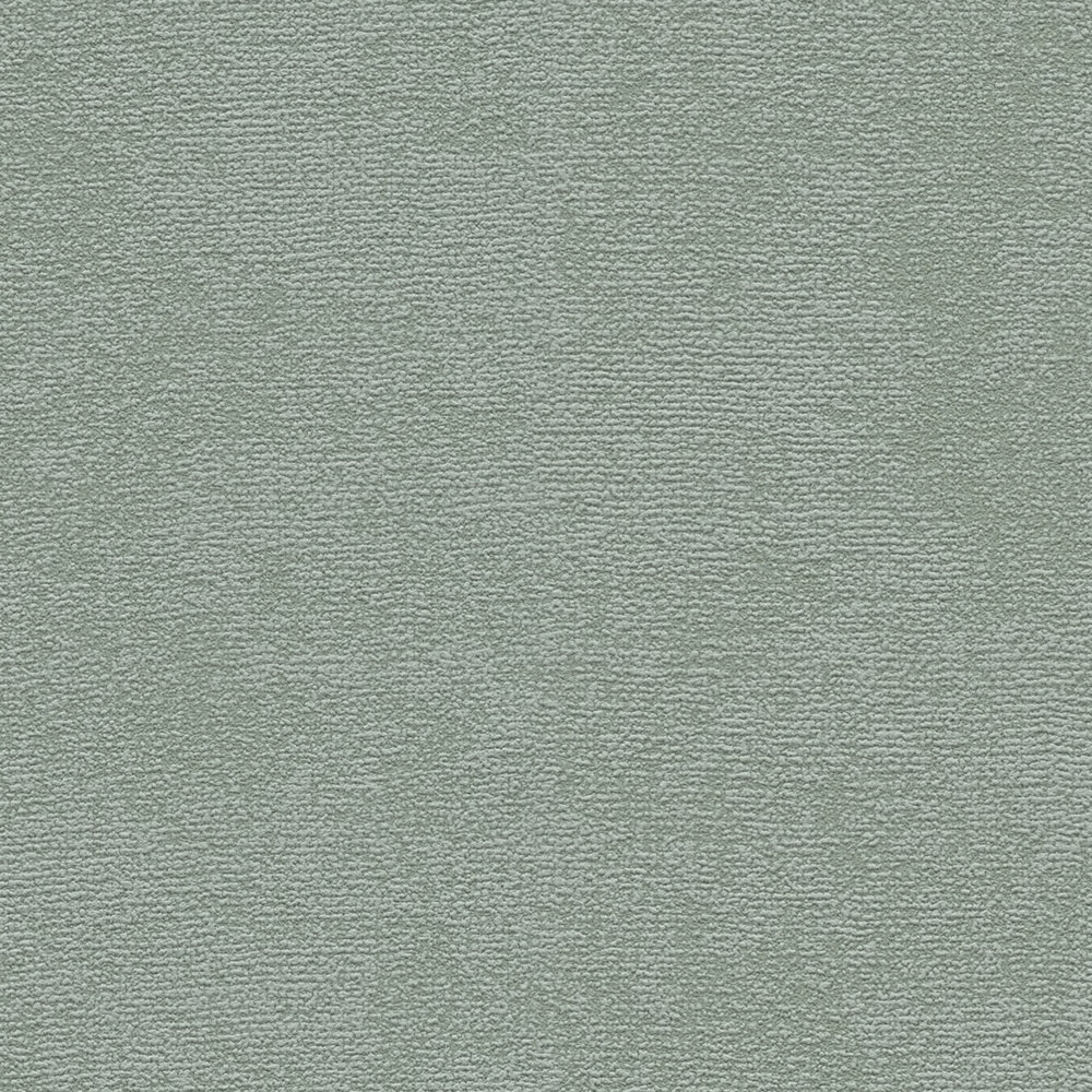             Single-coloured non-woven wallpaper with a soft texture - Green
        