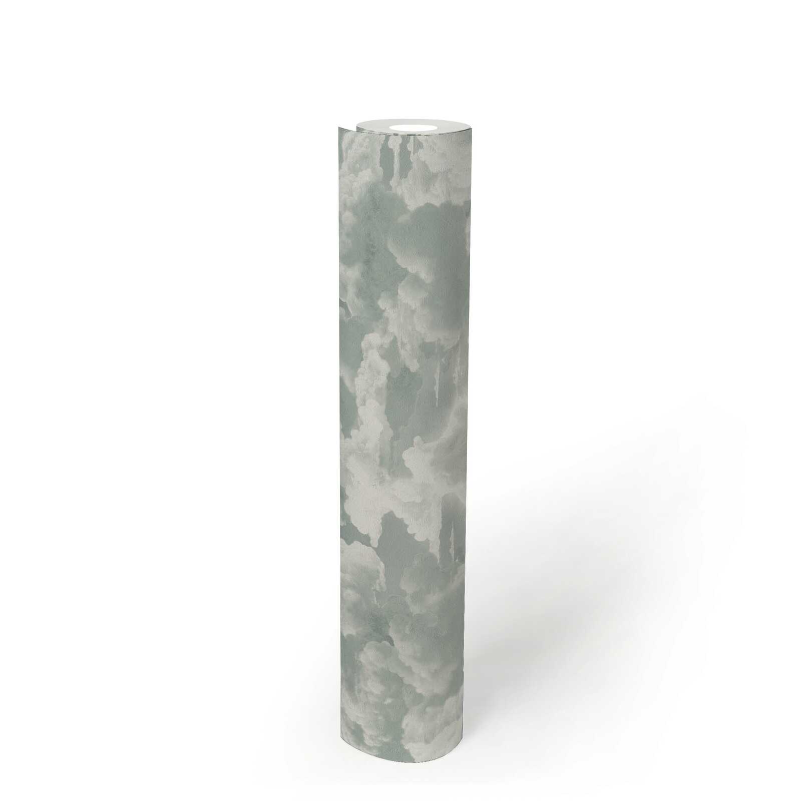             Non-woven wallpaper with clouds in grey - white, grey
        