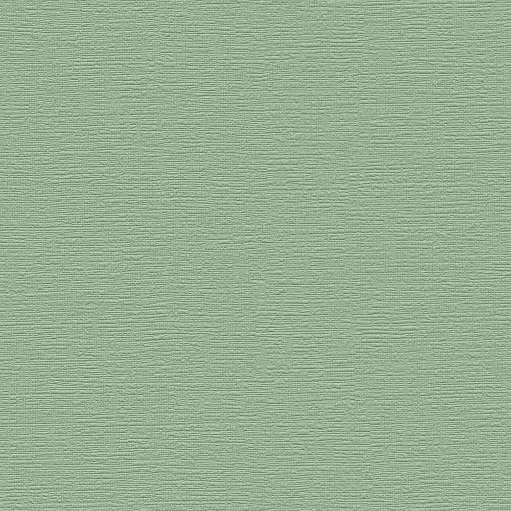             Finely textured plain non-woven wallpaper - green
        