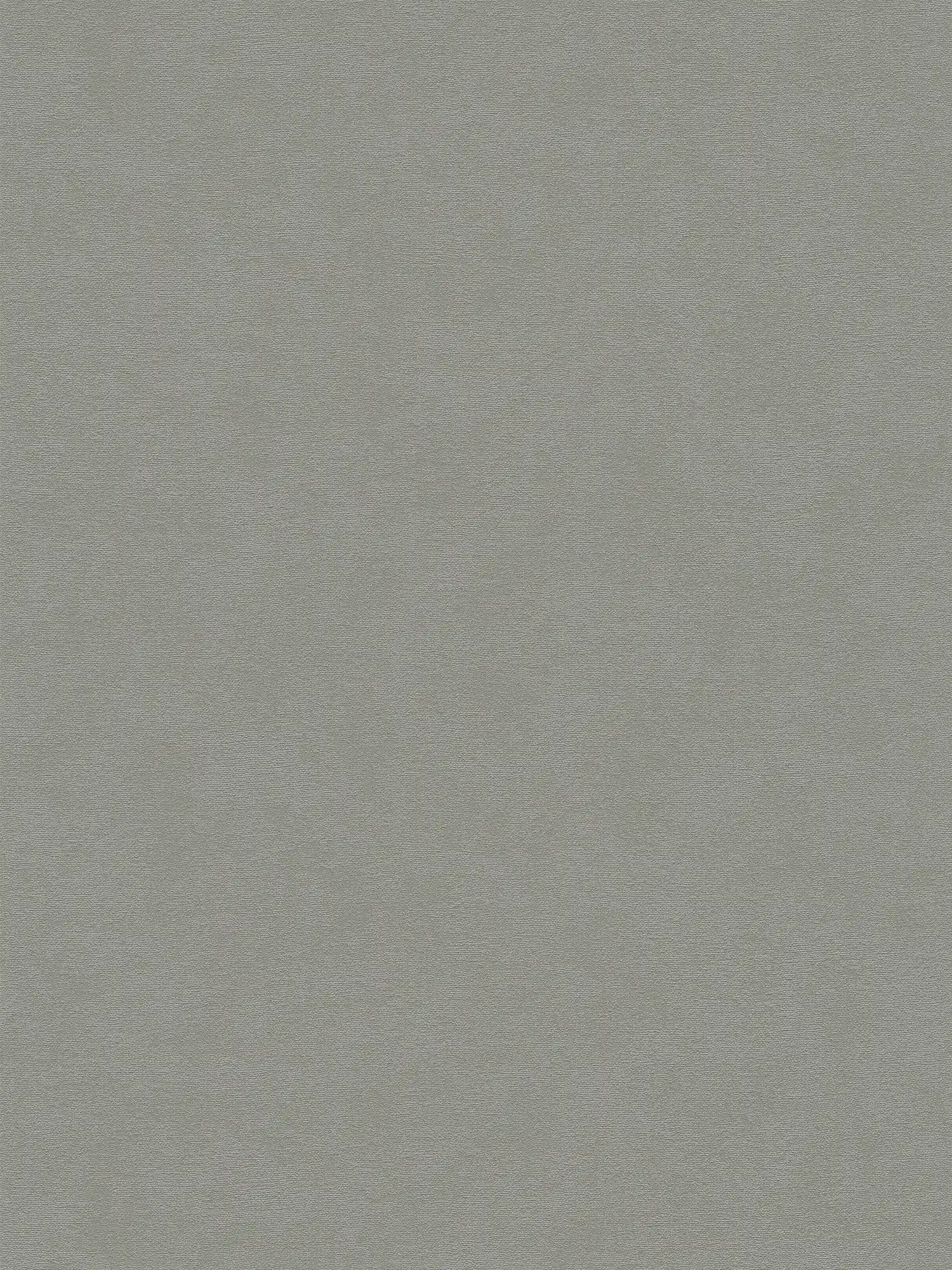 Carta da parati non tessuta con superficie monocolore a trama fine - grigio
