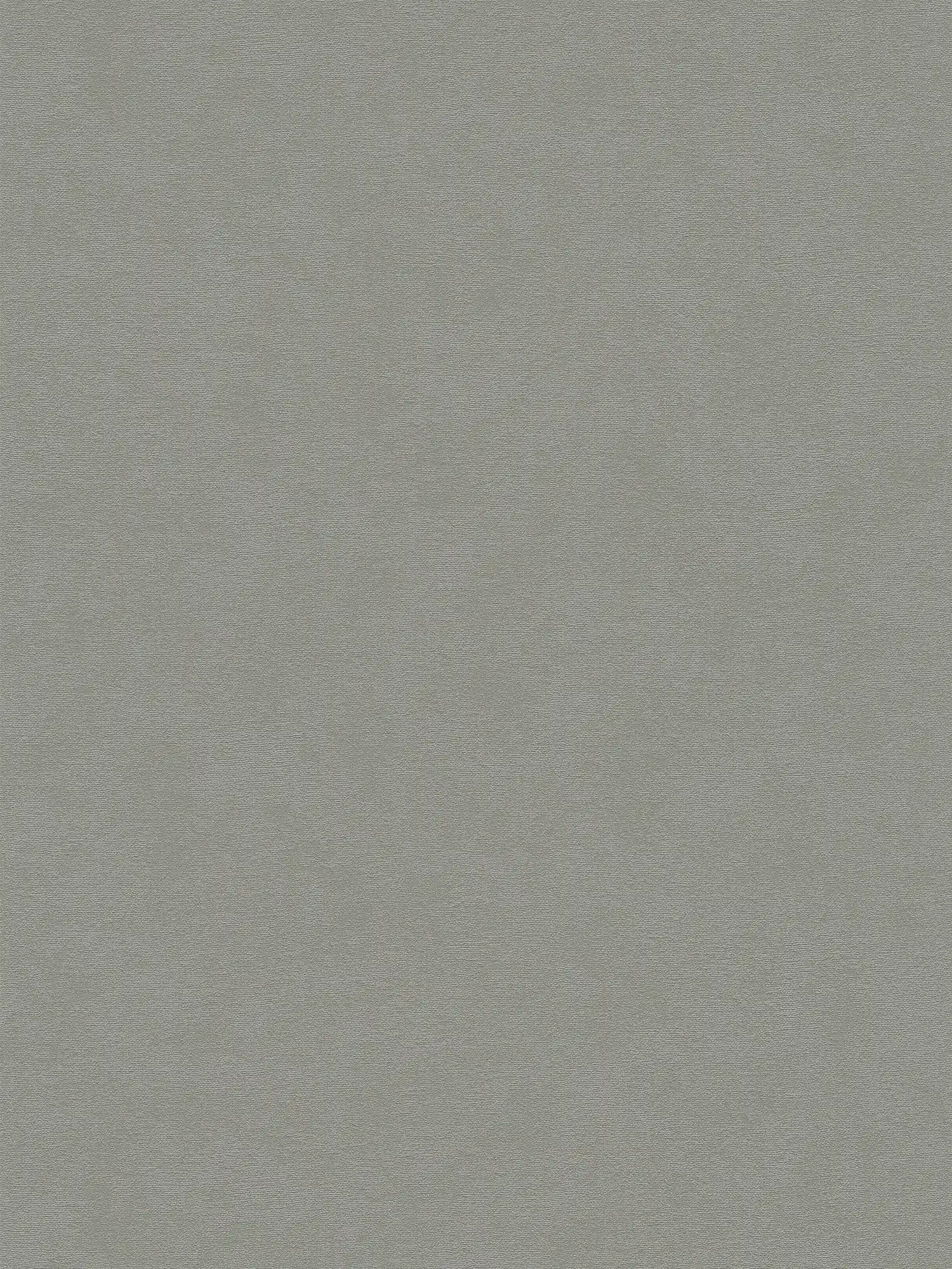         Non-woven wallpaper single-coloured surface fine textured - grey
    