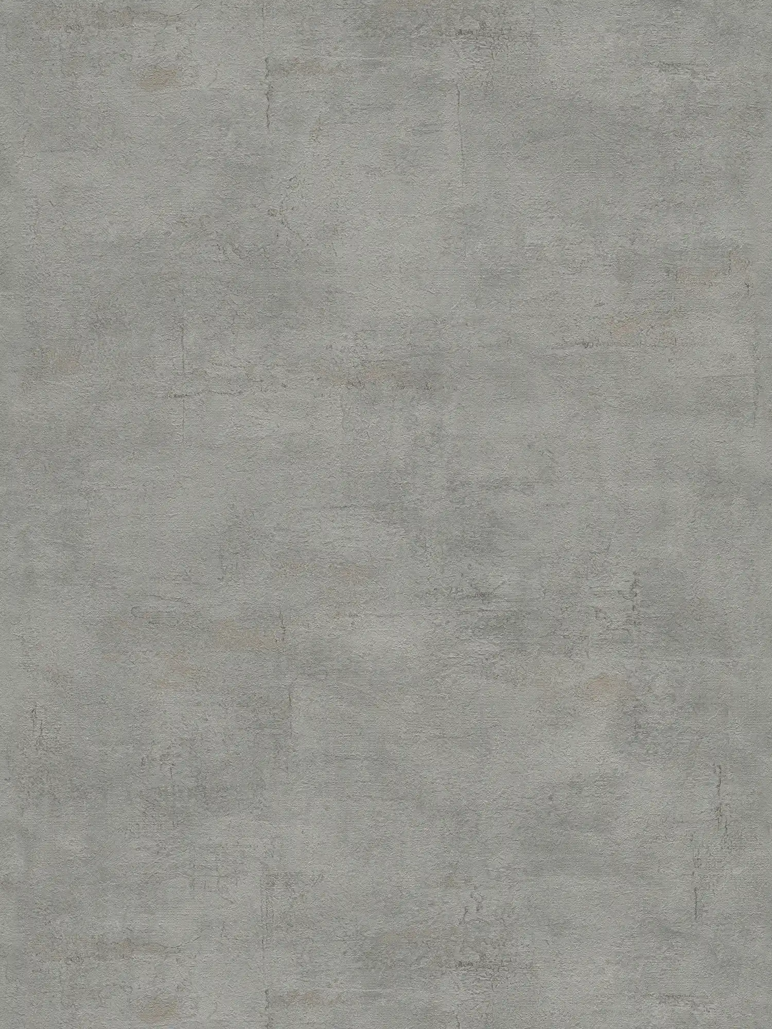         Textured wallpaper with dark grey plaster look - grey
    