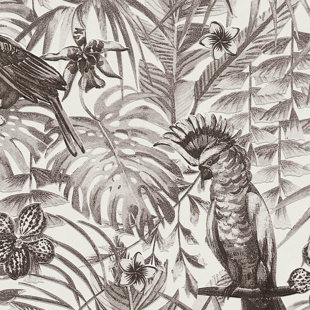             Exotic wallpaper tropical birds, flowers & leaves - black, white, grey
        