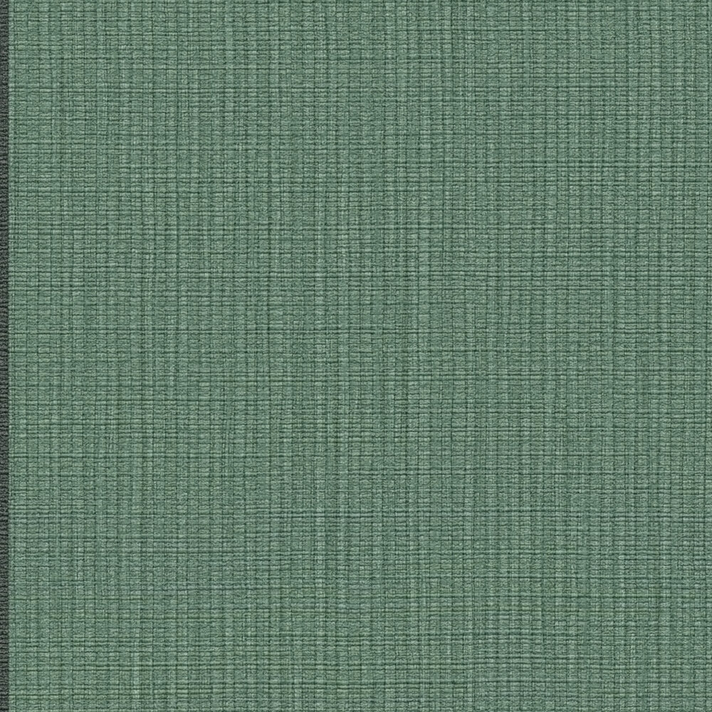             Striped non-woven wallpaper with contrast - green, black, grey
        