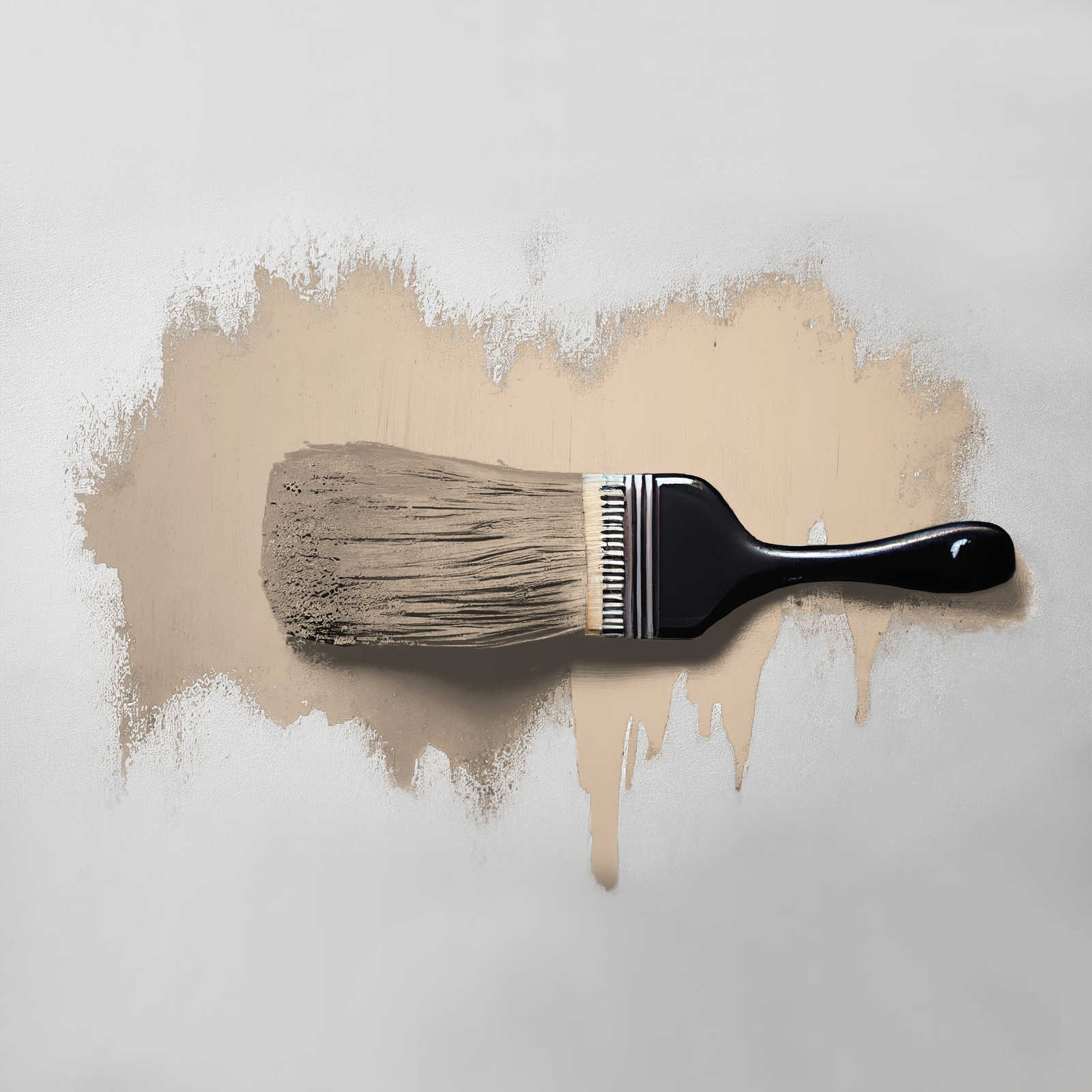             Wall Paint TCK6009 »Nutty Nutmeg« in warm beige – 5.0 litre
        