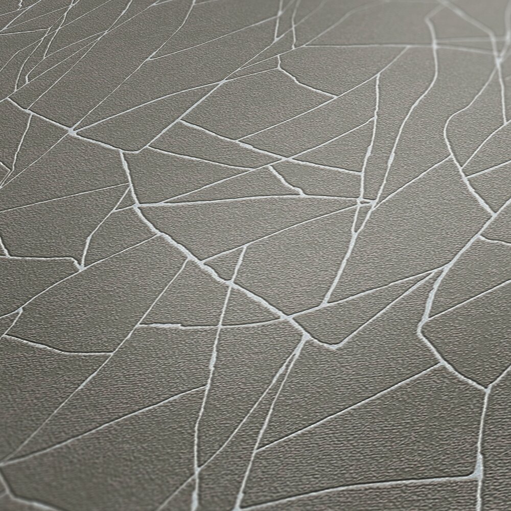             Graphic 3D non-woven wallpaper with natural pattern - grey, white
        