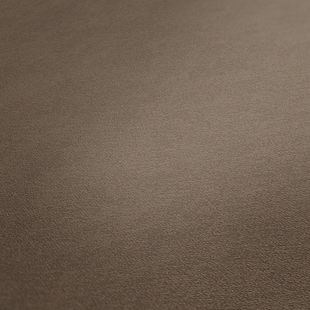             Single-coloured non-woven wallpaper with a soft texture - brown
        