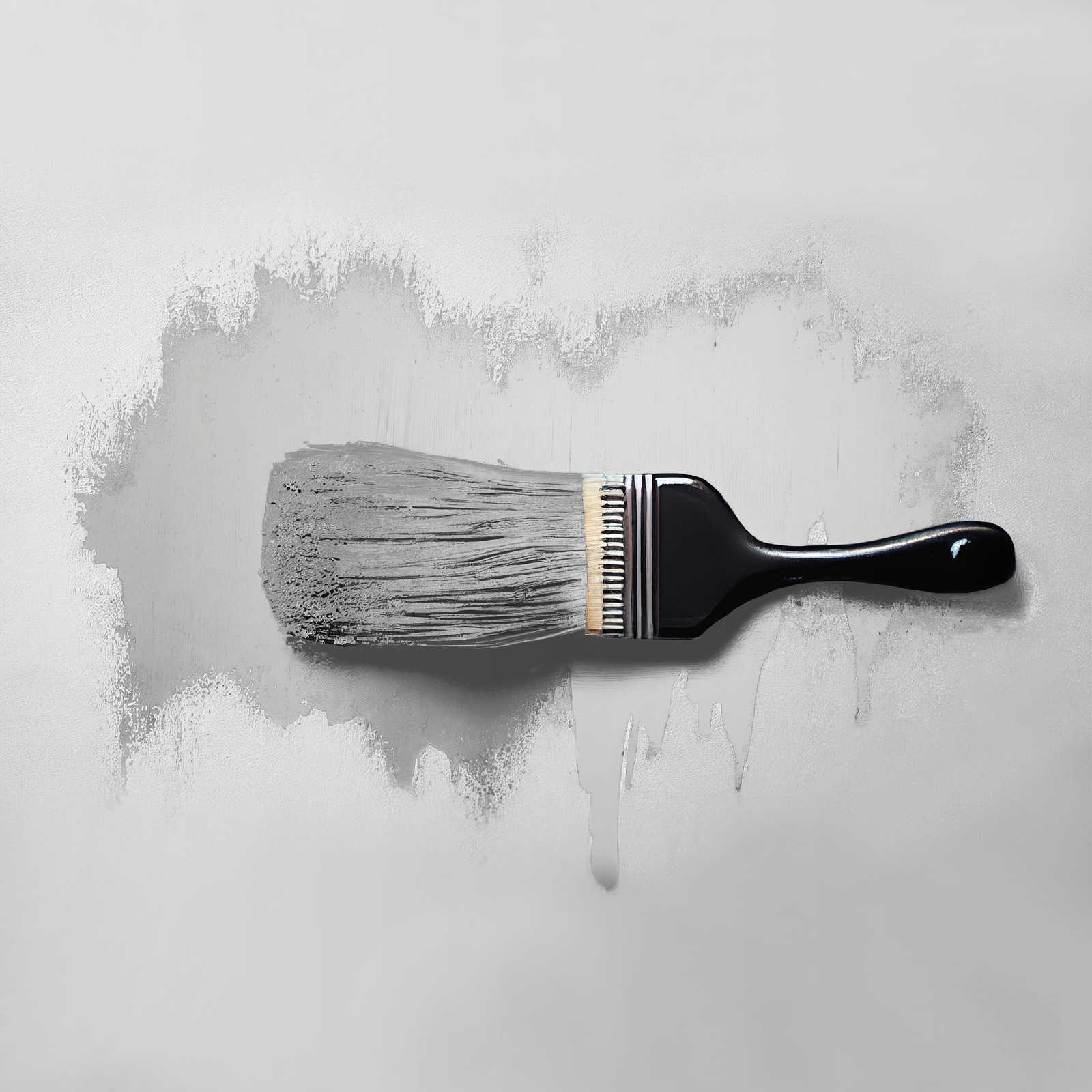             Pittura murale TCK1003 »Pure Pitaya« in grigio bluastro – 5,0 litri
        