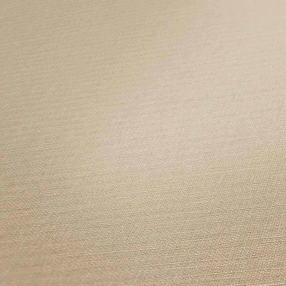             Non-woven wallpaper plain in warm colours - beige
        