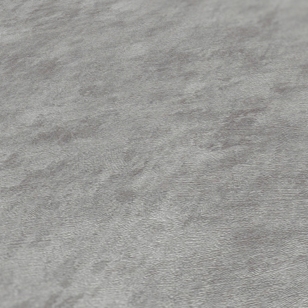             Non-woven wallpaper with textured pattern plain - grey
        