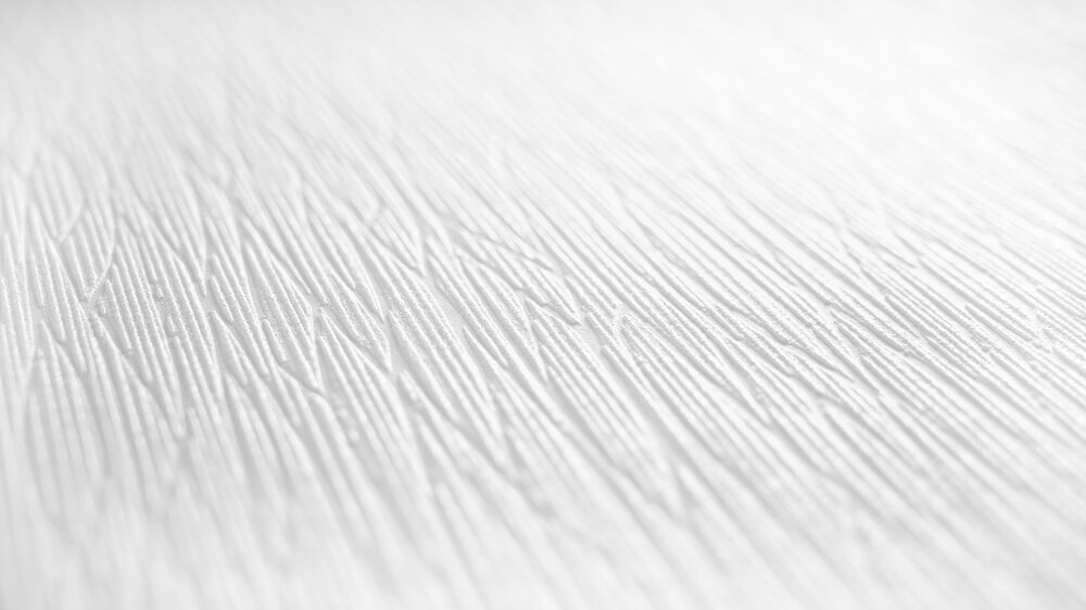             Papier peint intissé à peindre avec motifs à lignes - blanc
        