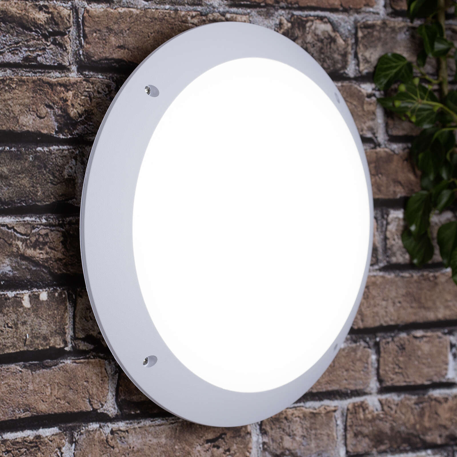             Plastic wall and ceiling light - Liam 1 - White
        