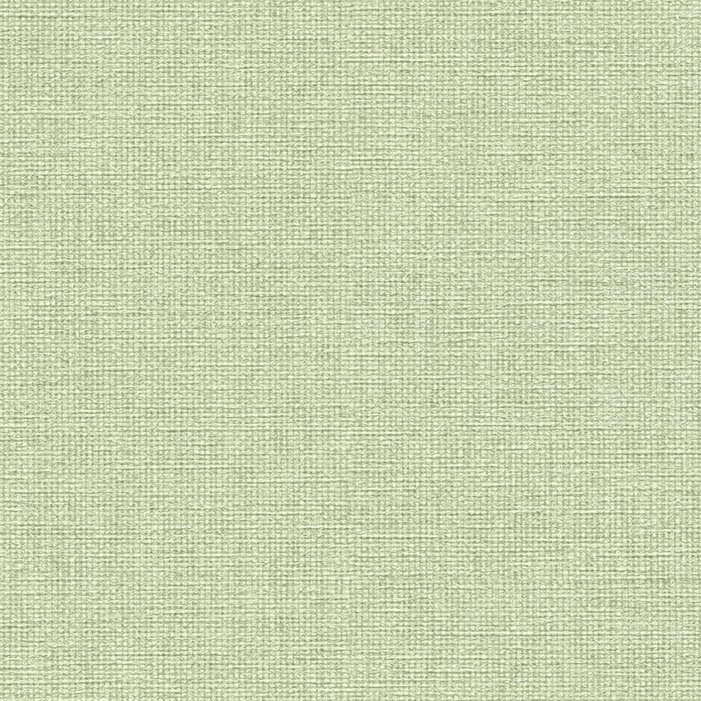             papier peint en papier intissé avec motif de palmiers couvrant toute la surface - vert
        