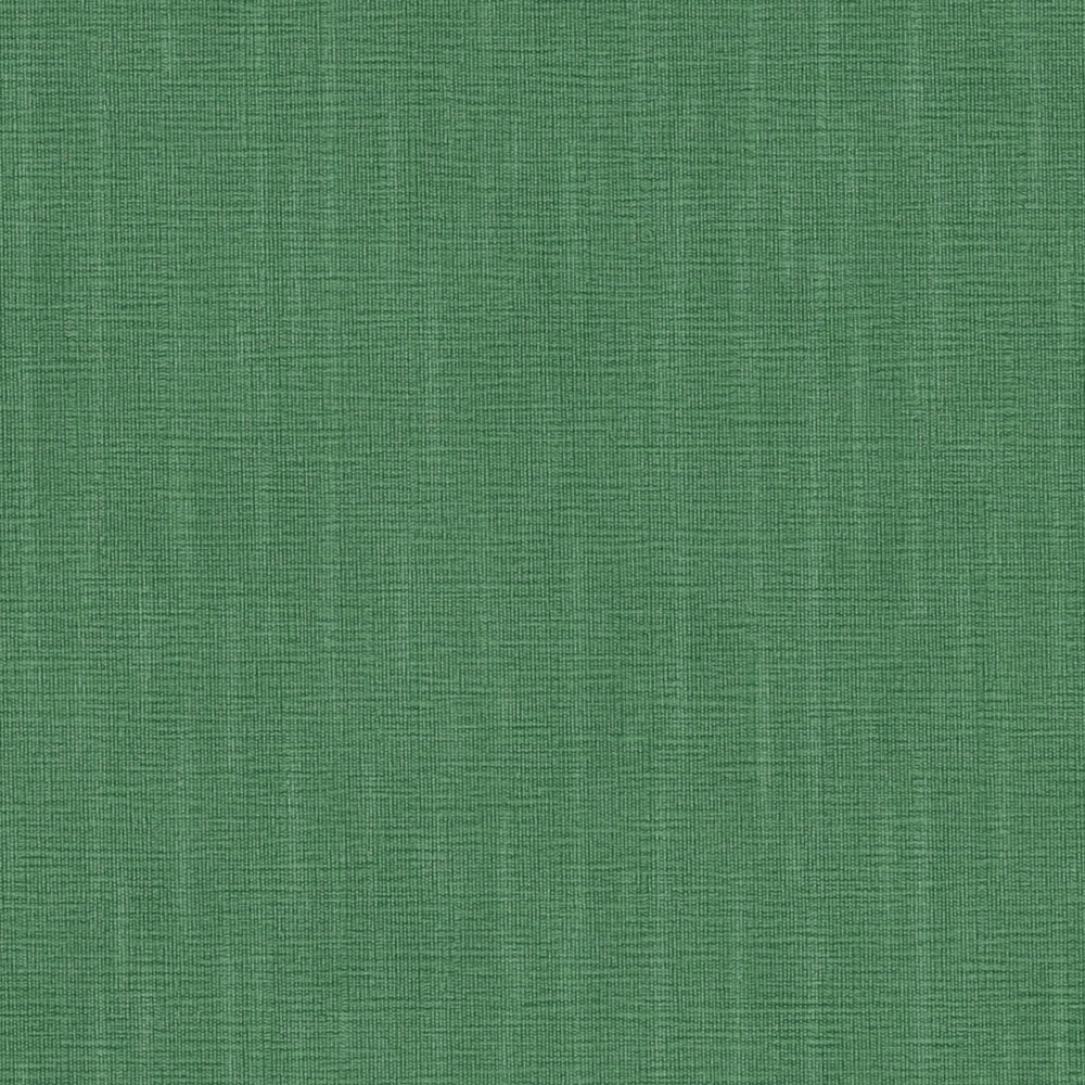             Fir green wallpaper VERSACE with structure embossing - green
        