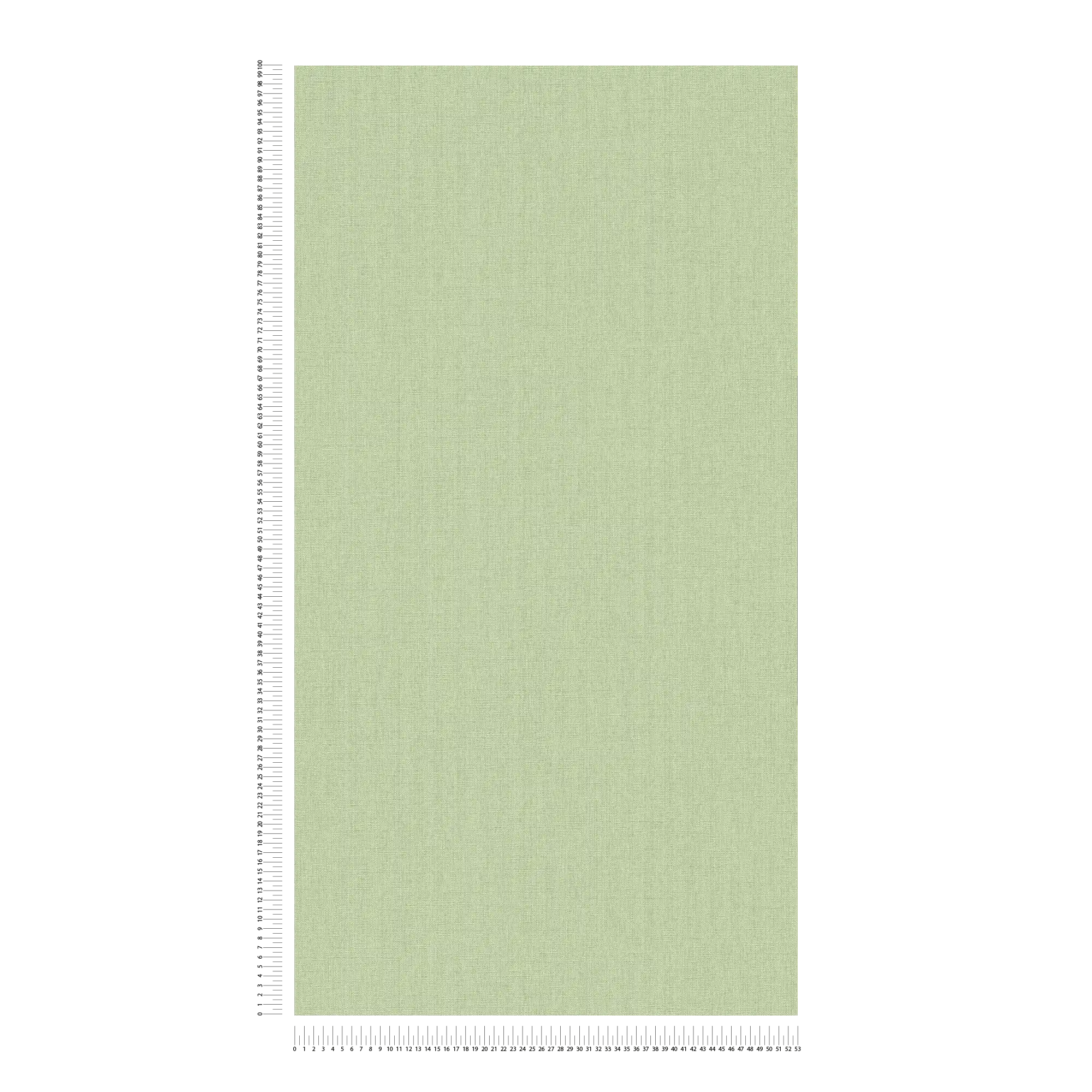             papier peint en papier intissé avec motif de palmiers couvrant toute la surface - vert
        