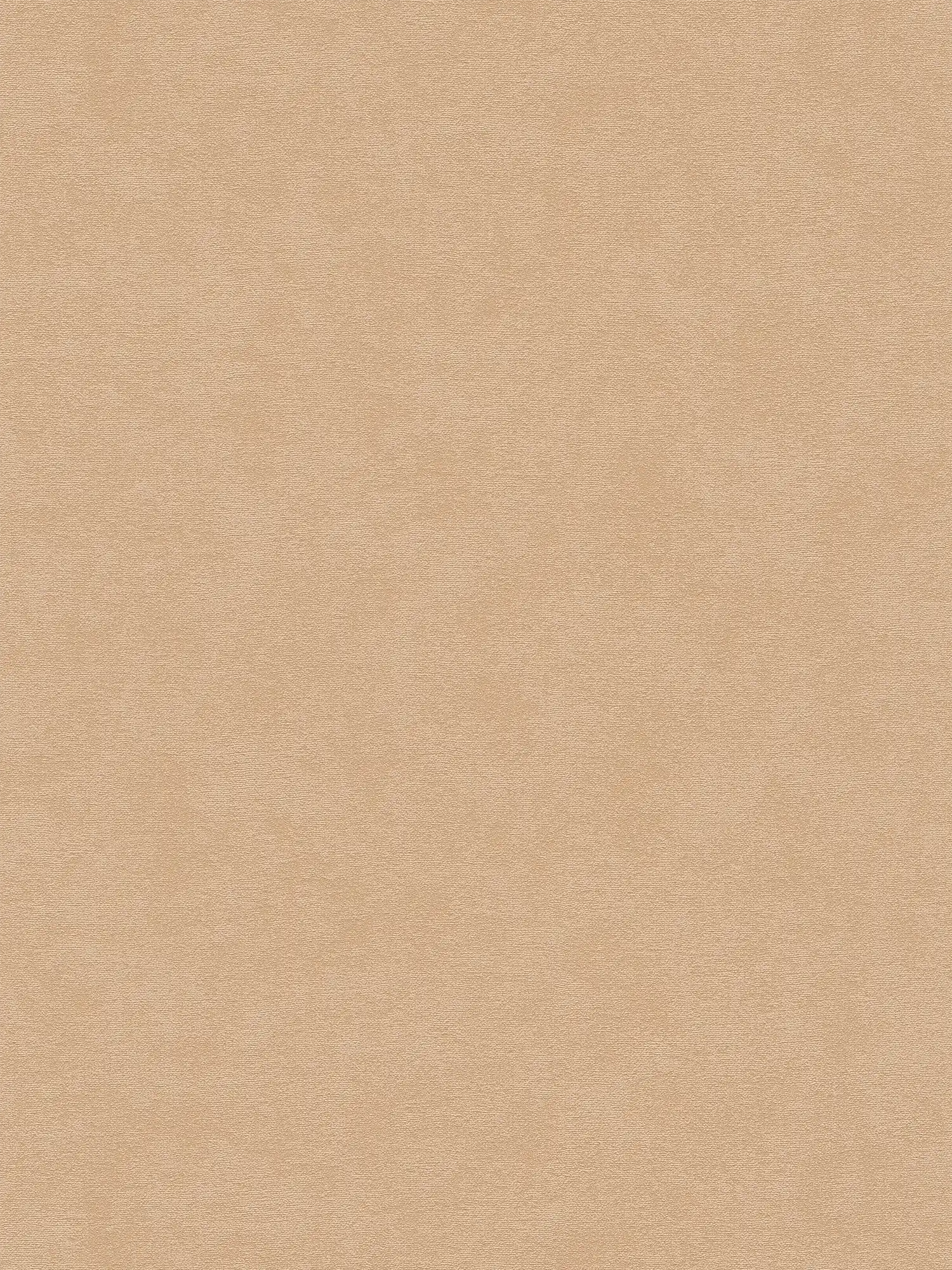 Single-coloured non-woven wallpaper with a fine surface texture - Beige
