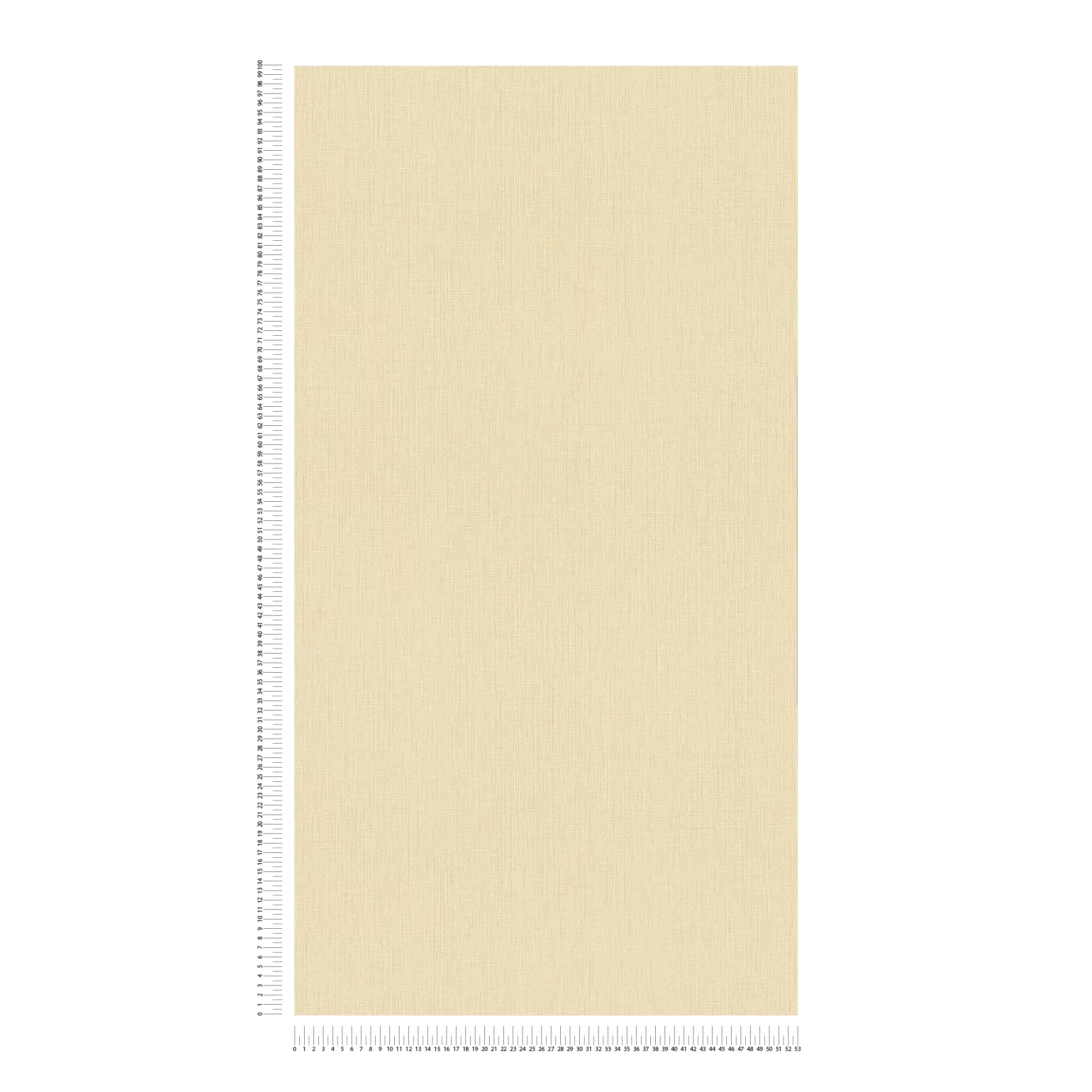             Carta da parati non tessuta a tinta unita con un design in tessuto in una tonalità semplice: beige, giallo, oro.
        