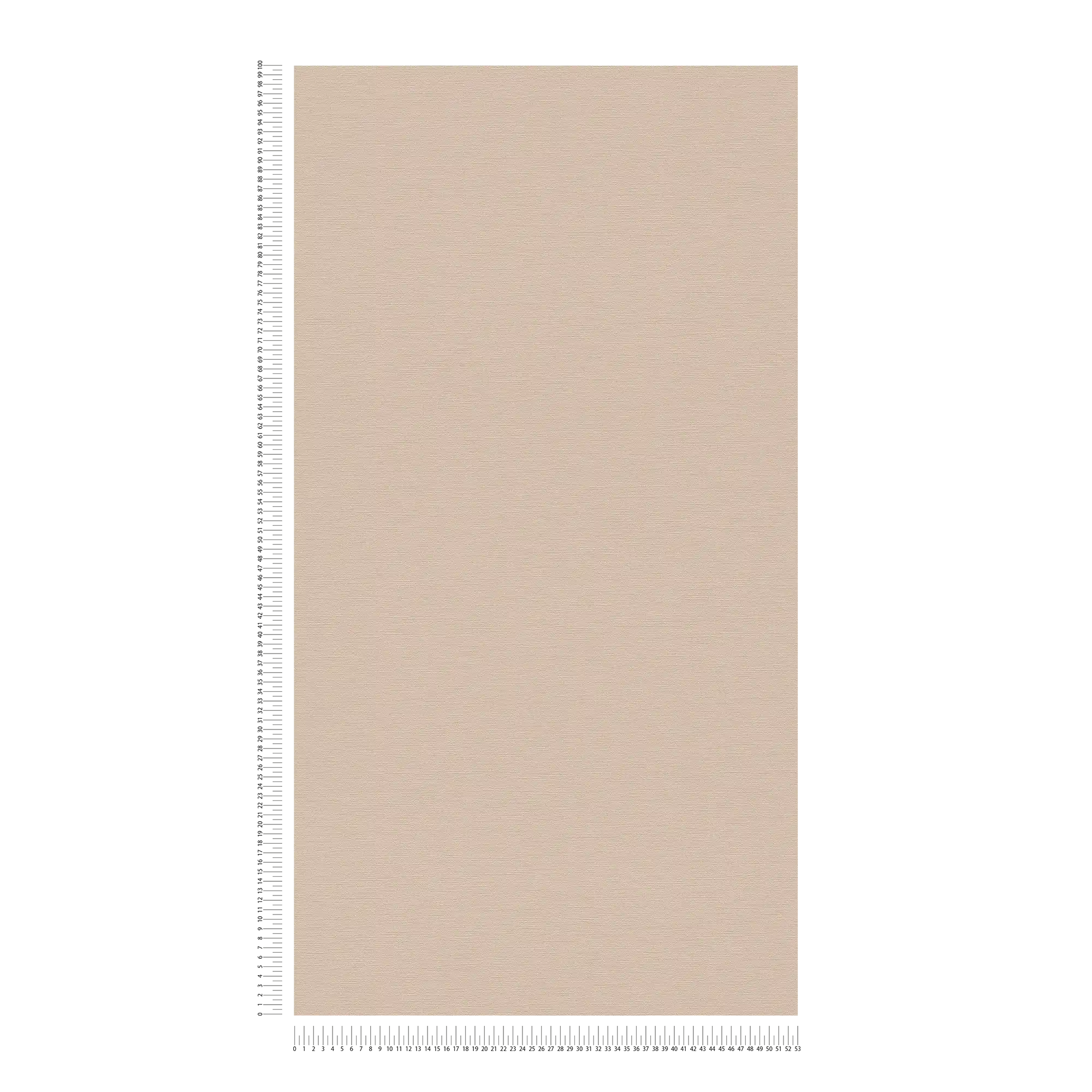             Papier peint uni discret - beige
        