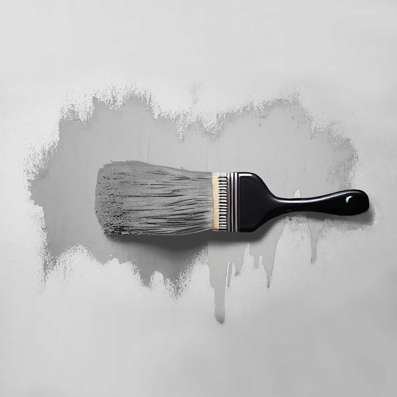             Pittura murale TCK1004 »Shady Spice« in grigio freddo – 2,5 litri
        