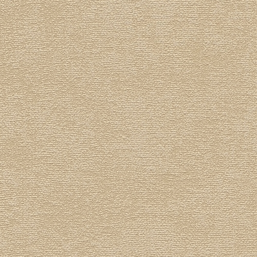             Single-coloured non-woven wallpaper with a fine surface texture - Beige
        