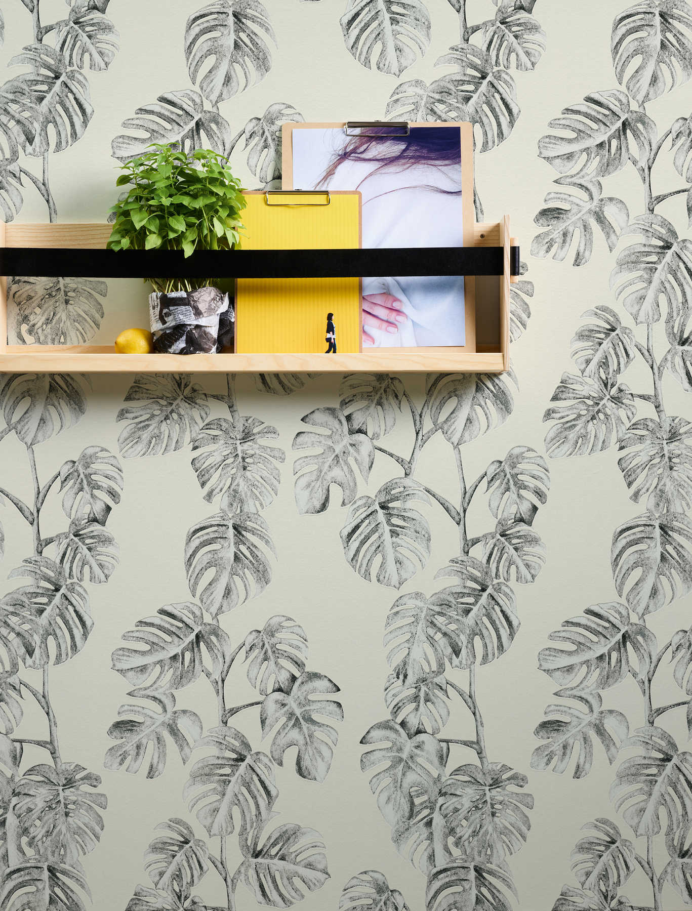             Non-woven wallpaper monstera vines, natural pattern - black, white, grey
        