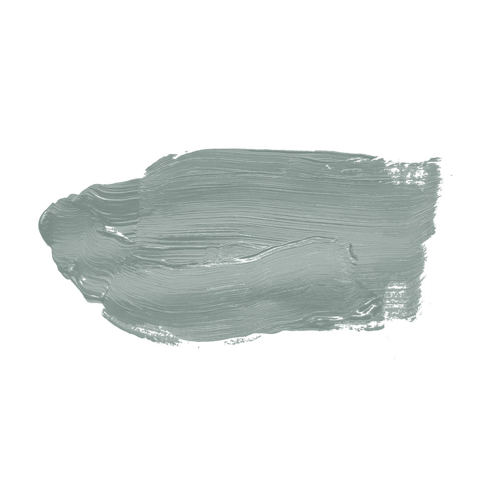             Pittura murale TCK3009 »Unique Eucalyptus« in eucalipto bilanciato – 2,5 litri
        