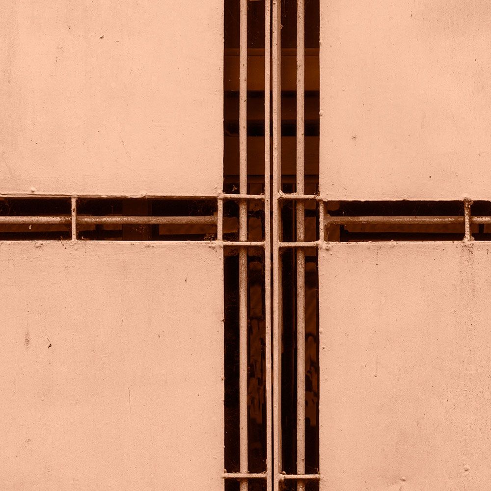             Digital behang »jaipur« - Close-up van een zalmkleurig metalen hek - Matte, Gladde vliesstof
        