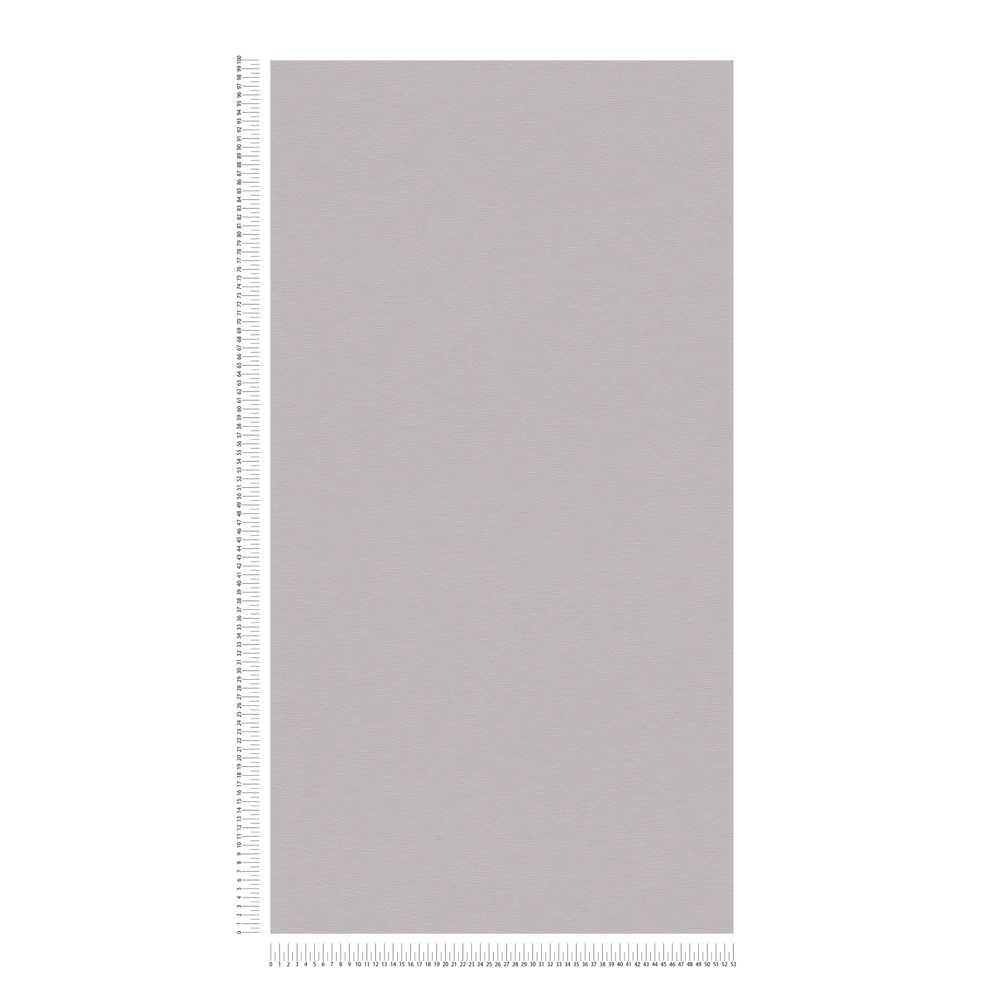             Carta da parati non tessuta monocolore con superficie leggermente screziata - grigio
        
