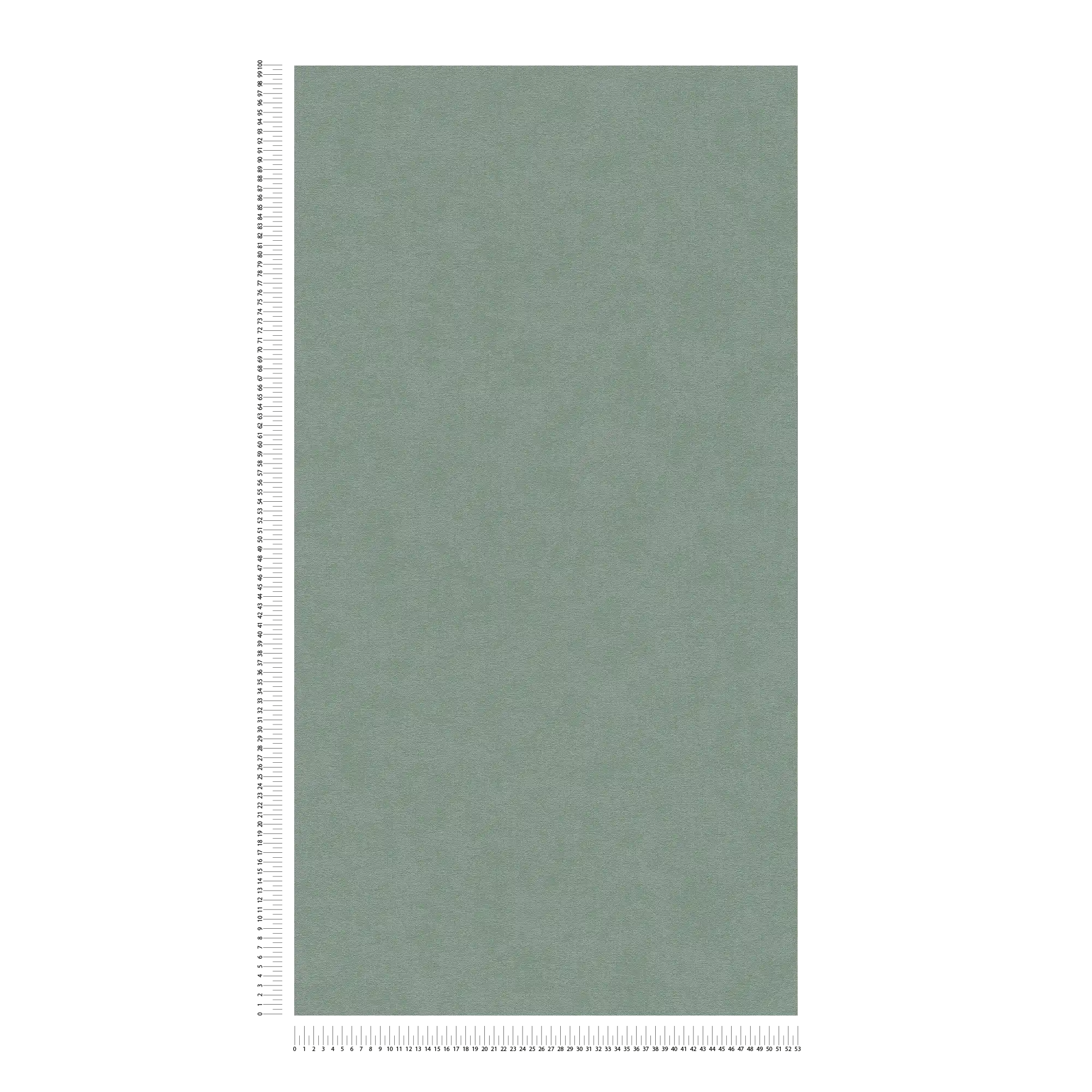             Effen vliesbehang met een zachte textuur - Groen
        