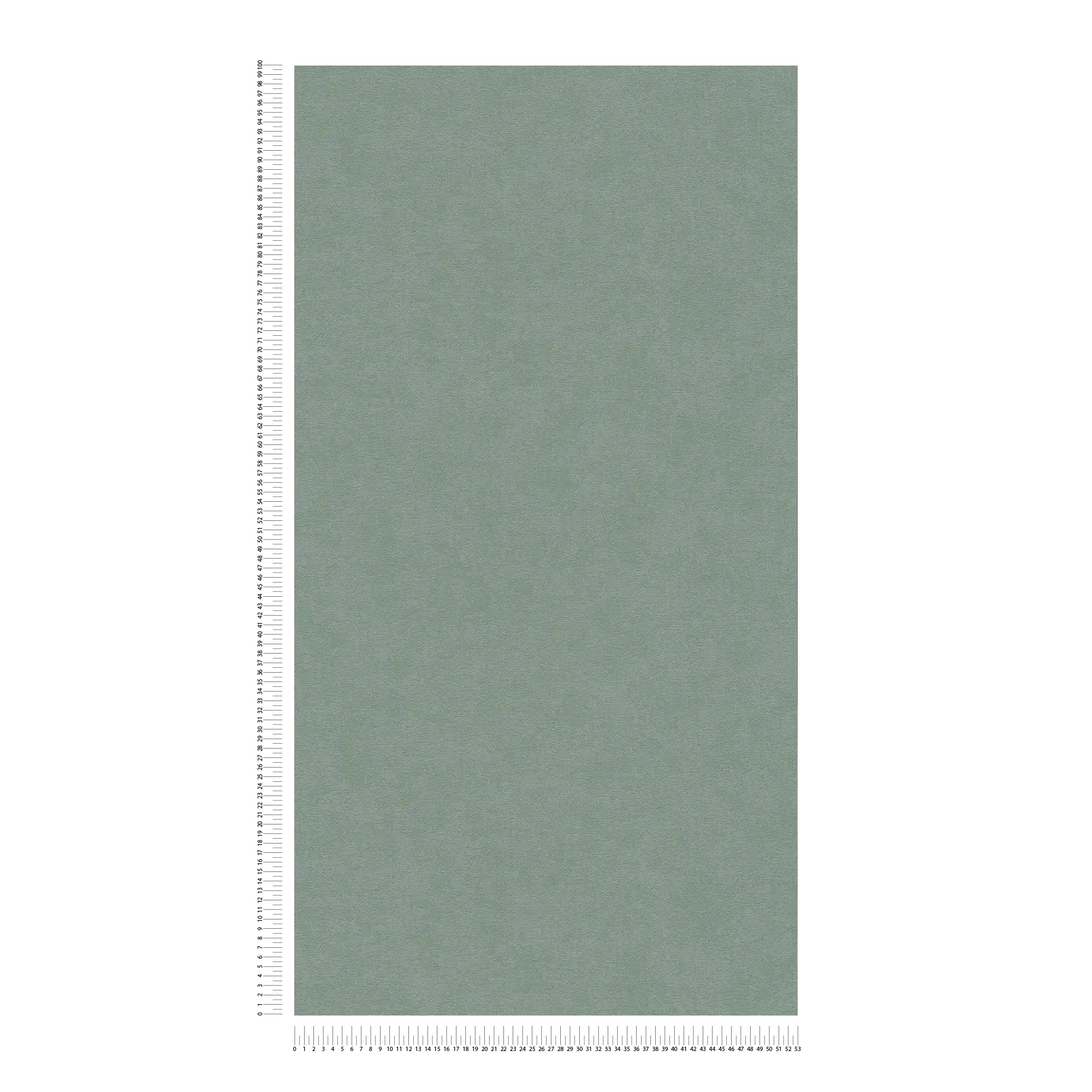             Single-coloured non-woven wallpaper with a soft texture - Green
        