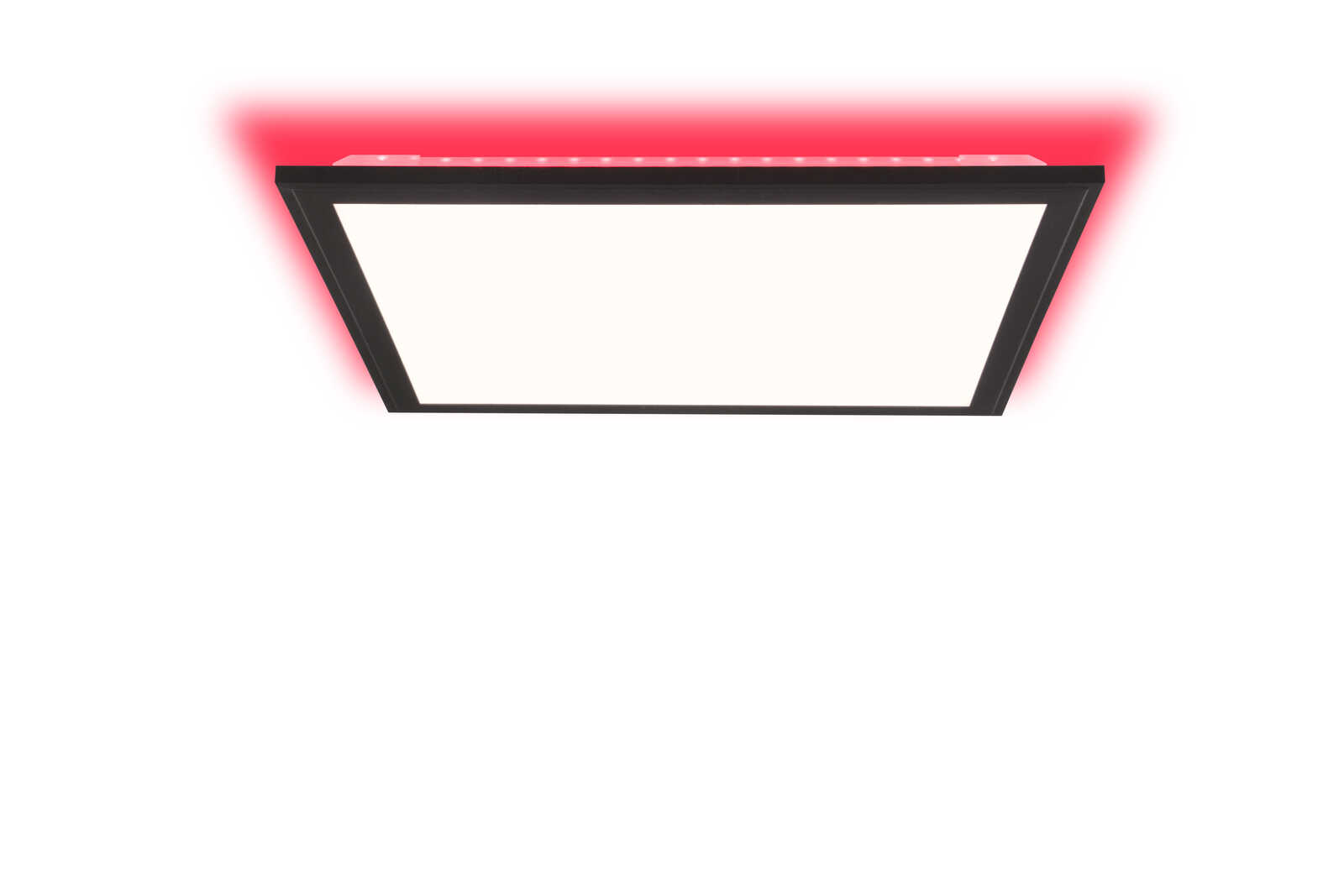             Kunststof plafondlamp - Albert 2 - Zwart
        