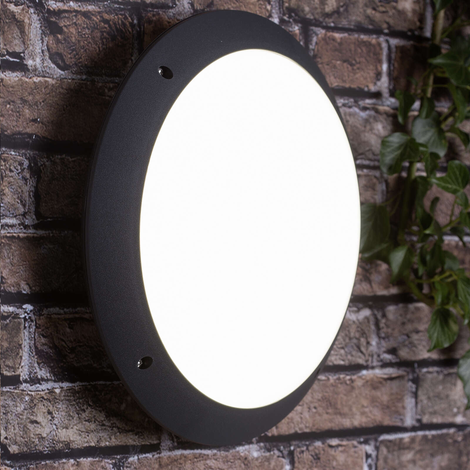             Plastic wall and ceiling light - Liam 2 - Black
        