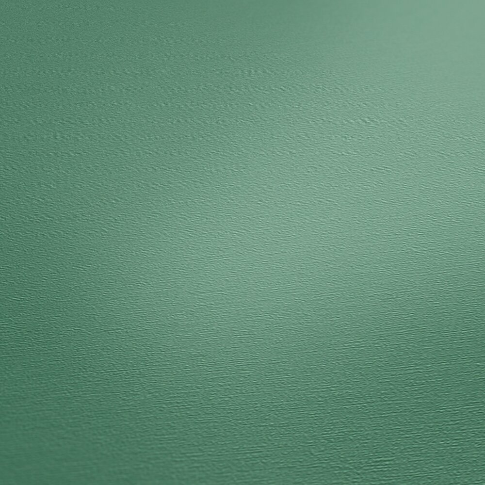             Finely textured plain non-woven wallpaper - green
        