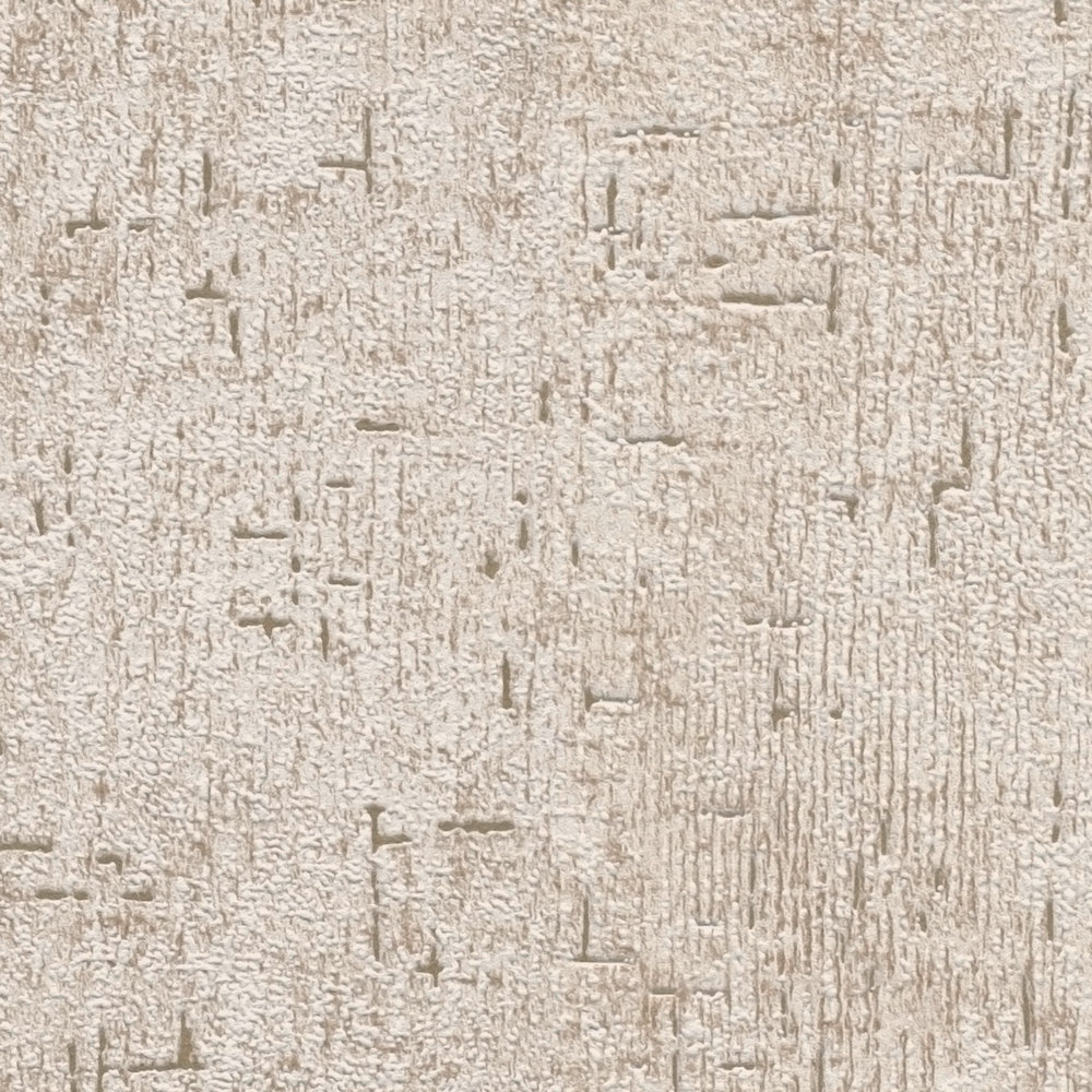             Papier peint intissé rustique structure crépi - beige, marron
        