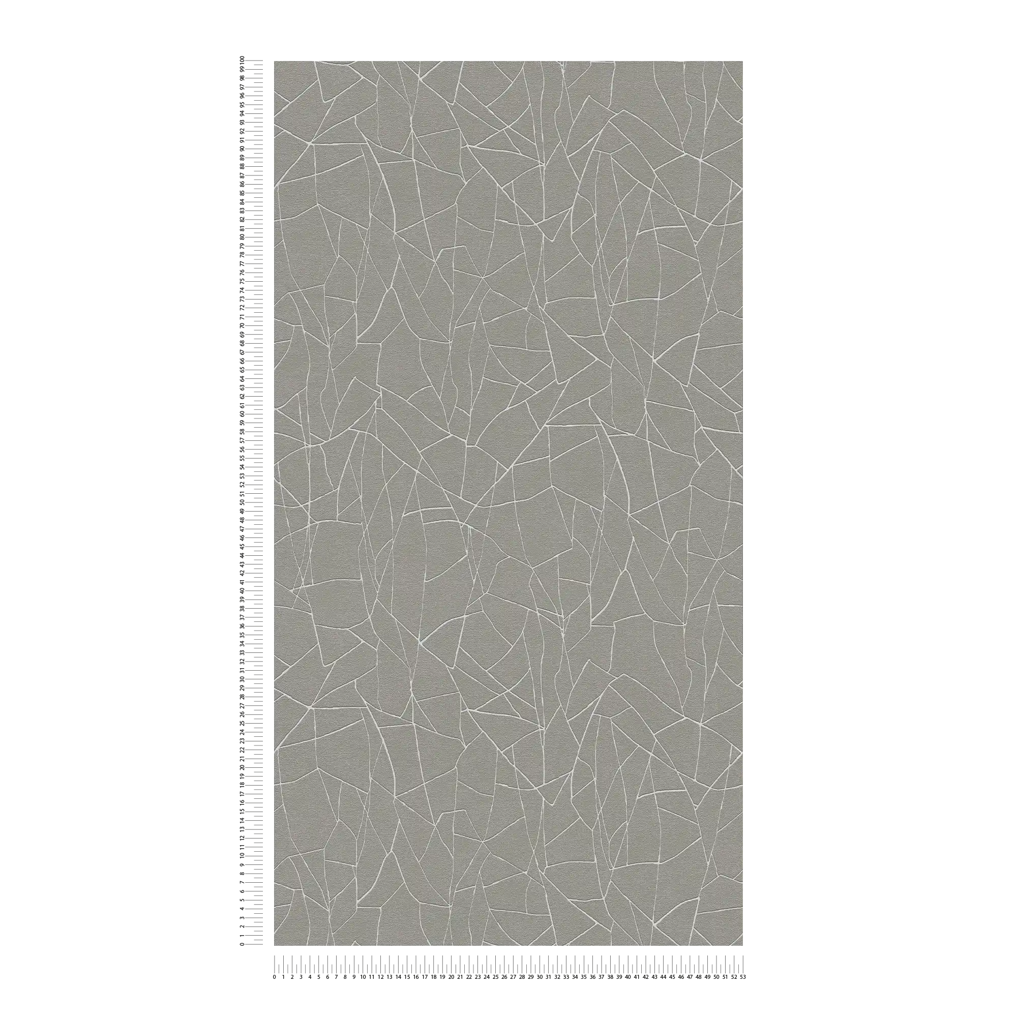             Carta da parati grafica in tessuto non tessuto 3D con motivi naturali - grigio, bianco
        