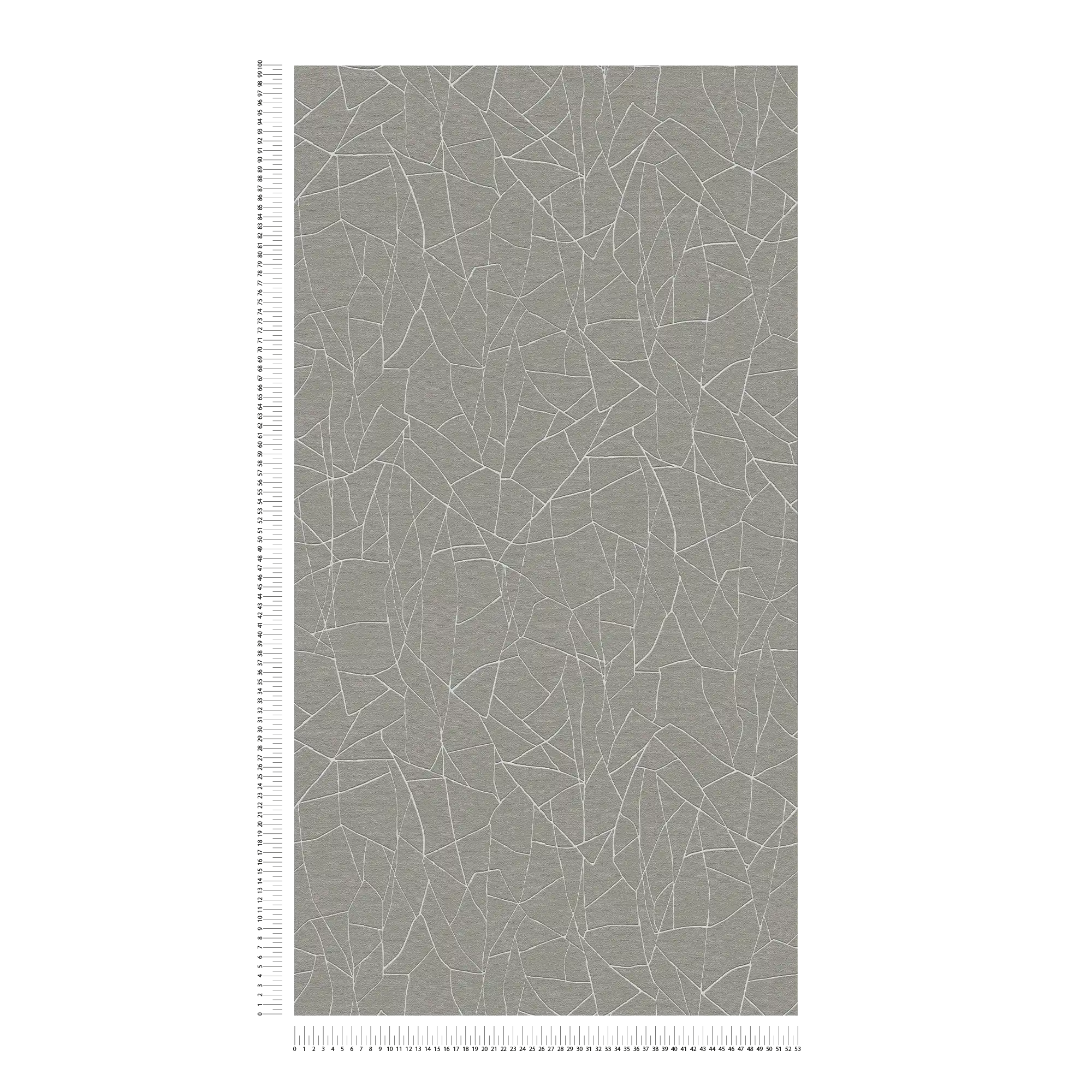             Graphic 3D non-woven wallpaper with natural pattern - grey, white
        